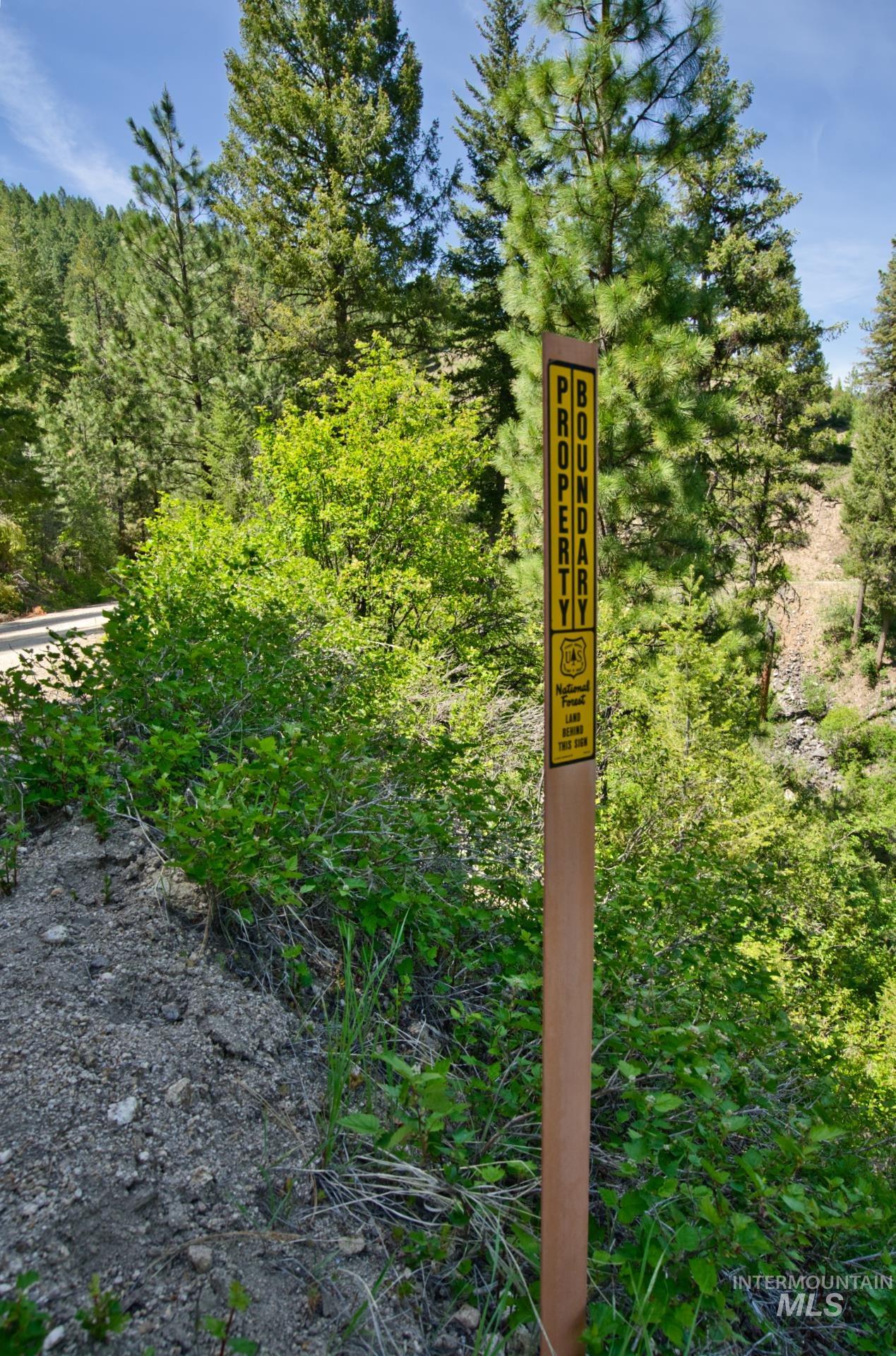 Tbd Forest Service Road 542 Property Photo 11