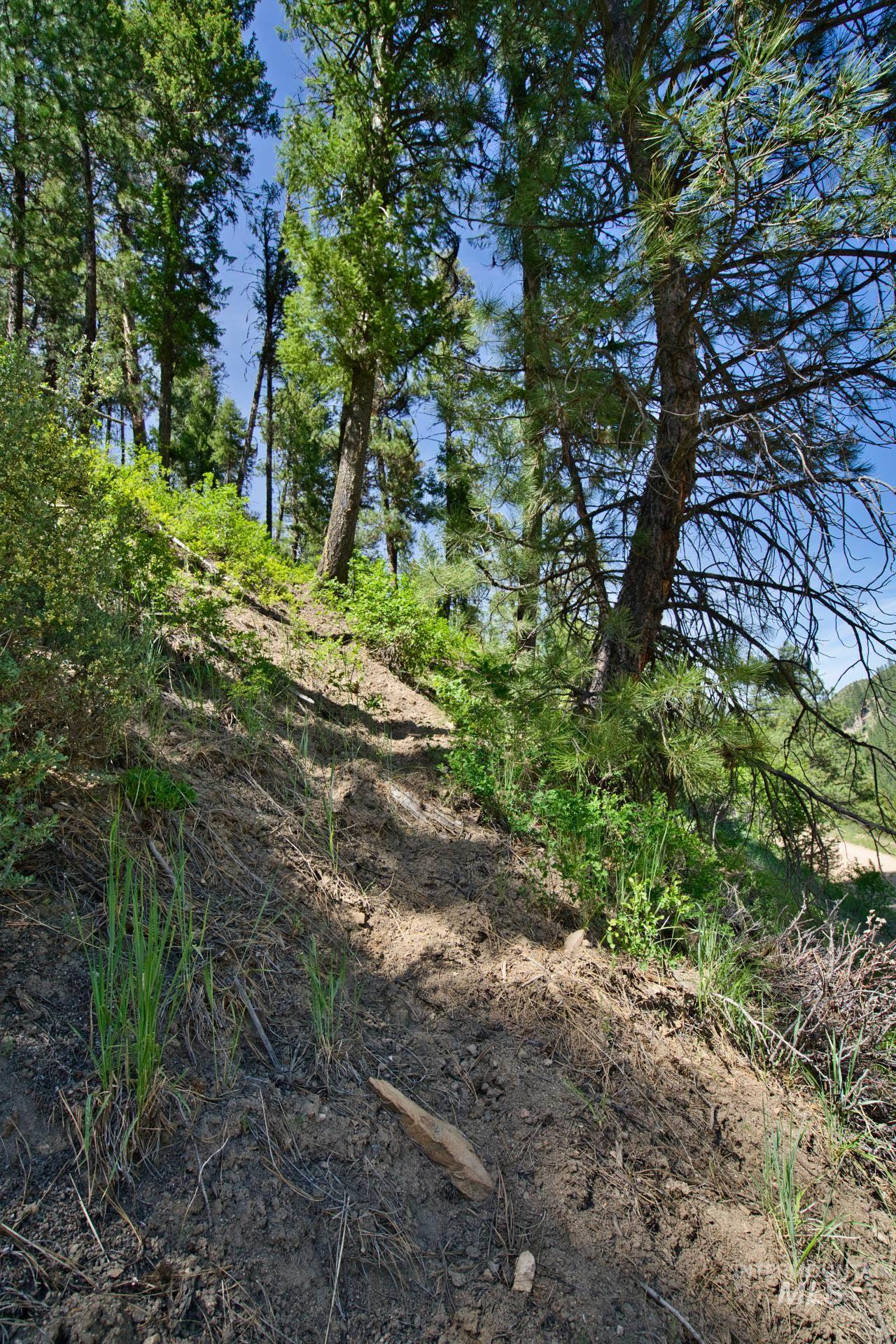 Tbd Forest Service Road 542 Property Photo 12