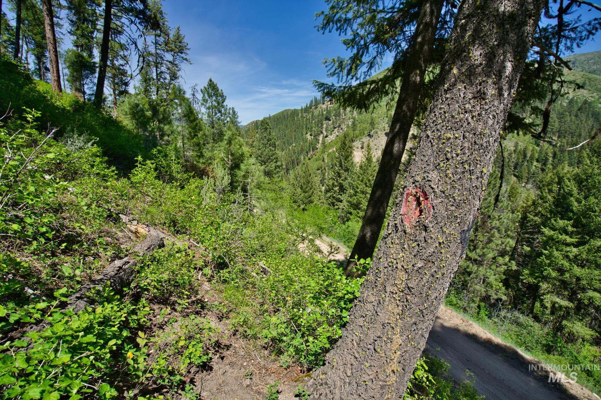 Tbd Forest Service Road 542 Property Photo 13