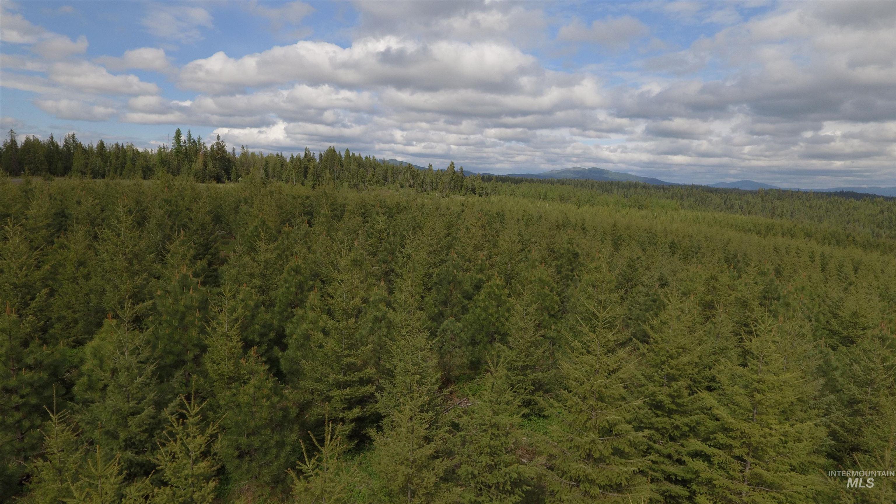 Tbd Badger Ridge Dr Parcel 3 Property Photo 3