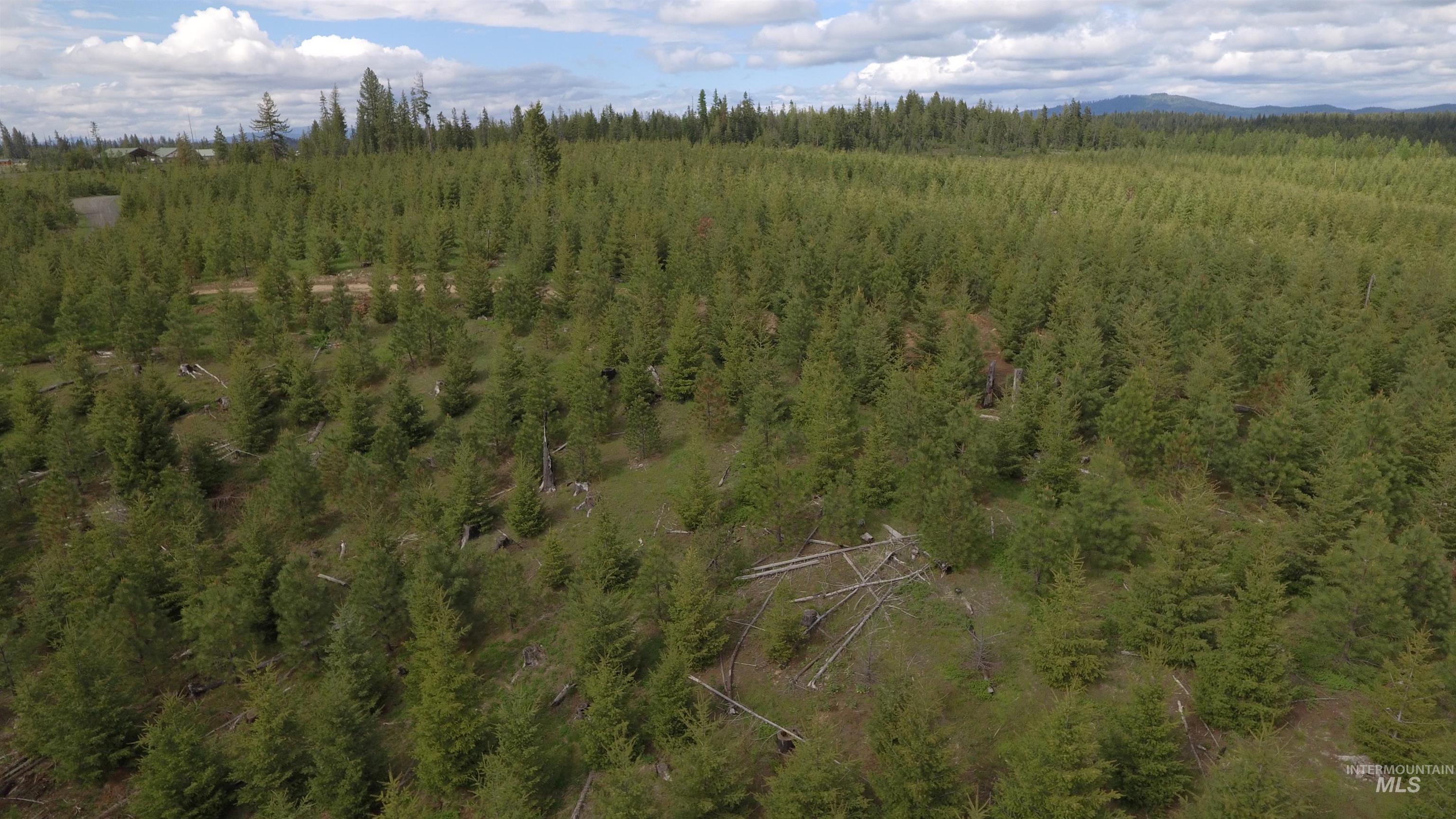 Tbd Badger Ridge Dr Parcel 3 Property Photo 6
