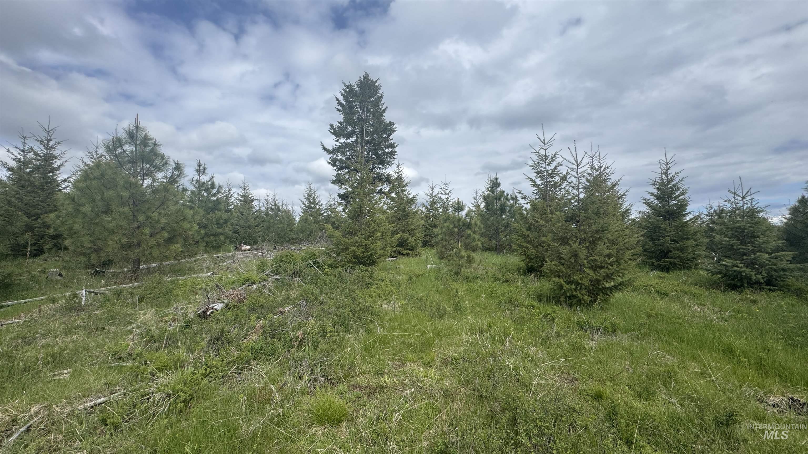 Tbd Badger Ridge Dr Parcel 3 Property Photo 13