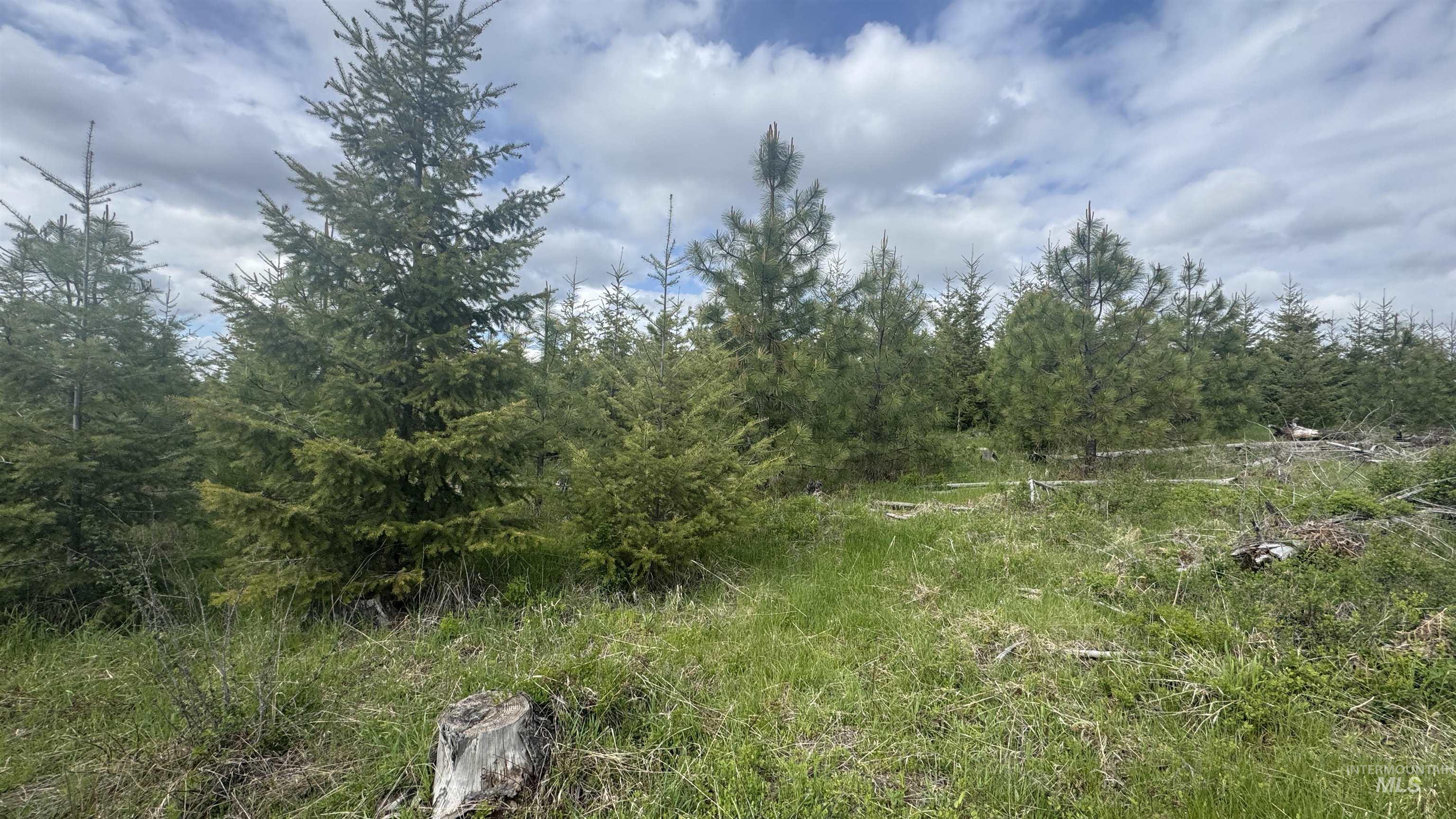 Tbd Badger Ridge Dr Parcel 3 Property Photo 14