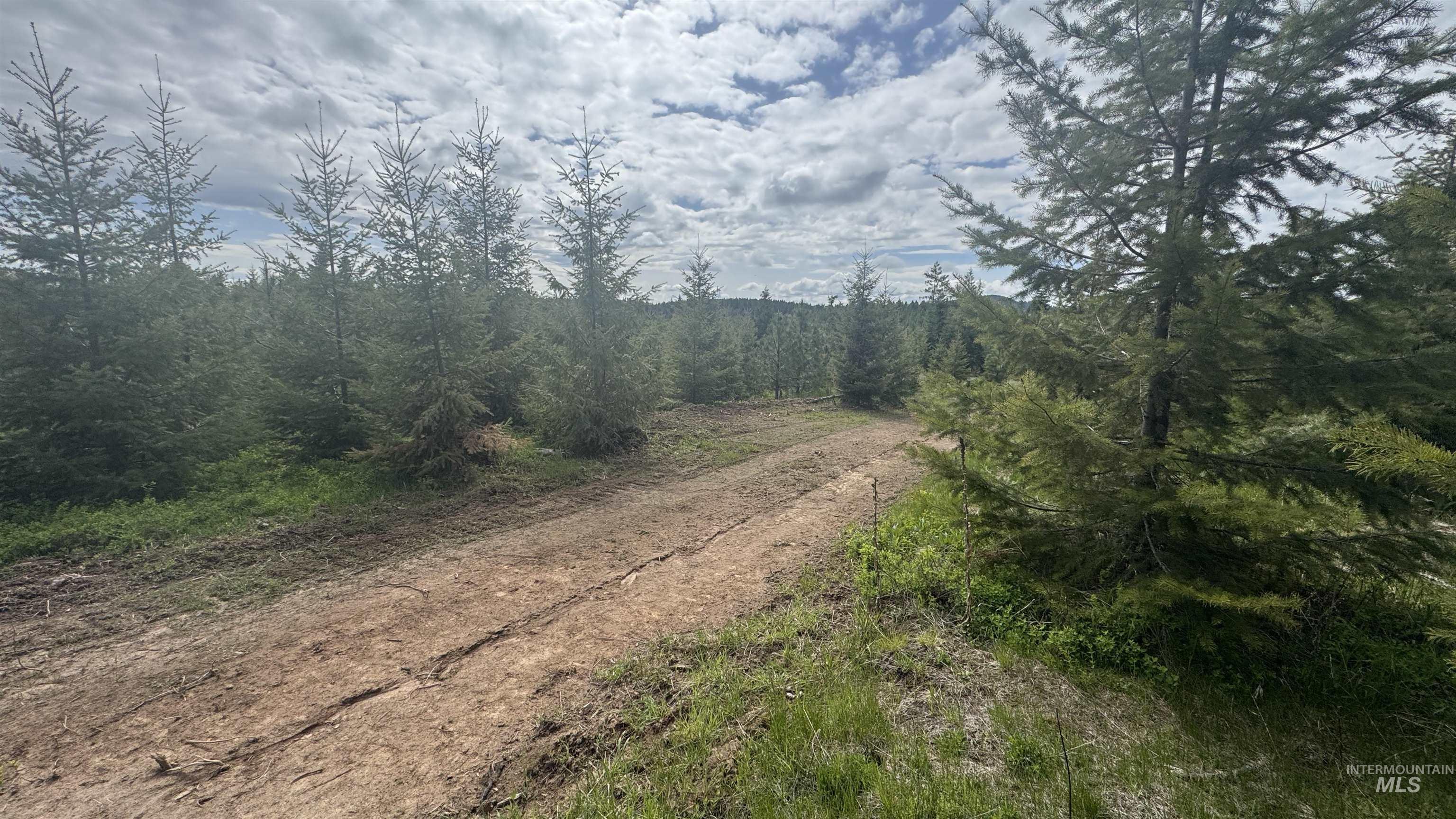 Tbd Badger Ridge Dr Parcel 3 Property Photo 18