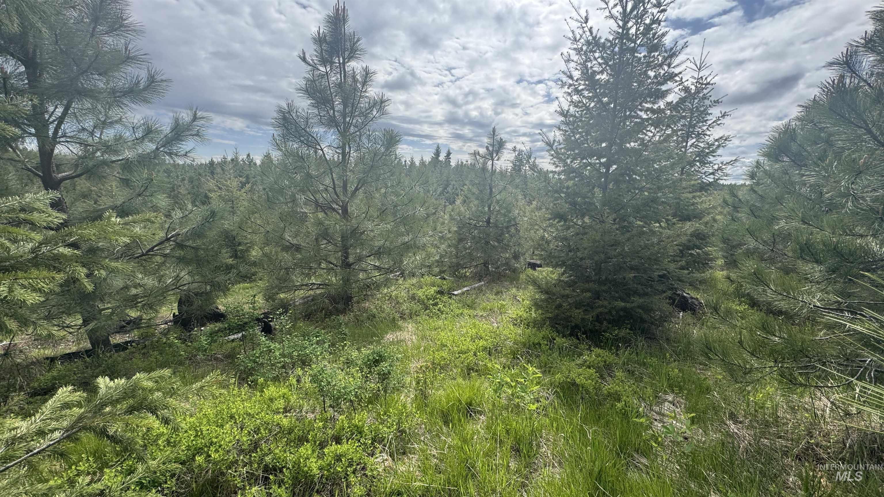 Tbd Badger Ridge Dr Parcel 3 Property Photo 19