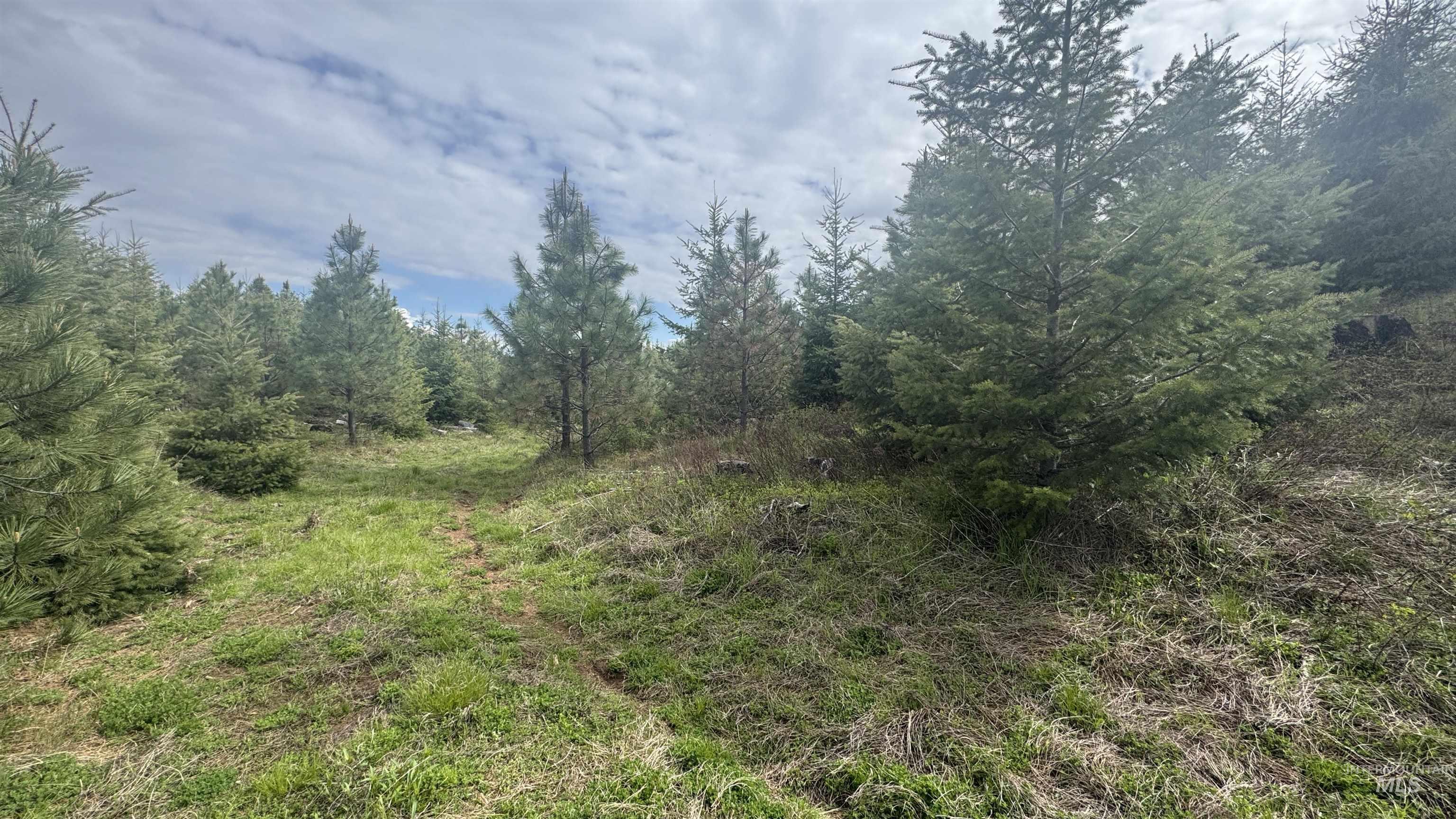 Tbd Badger Ridge Dr Parcel 3 Property Photo 24