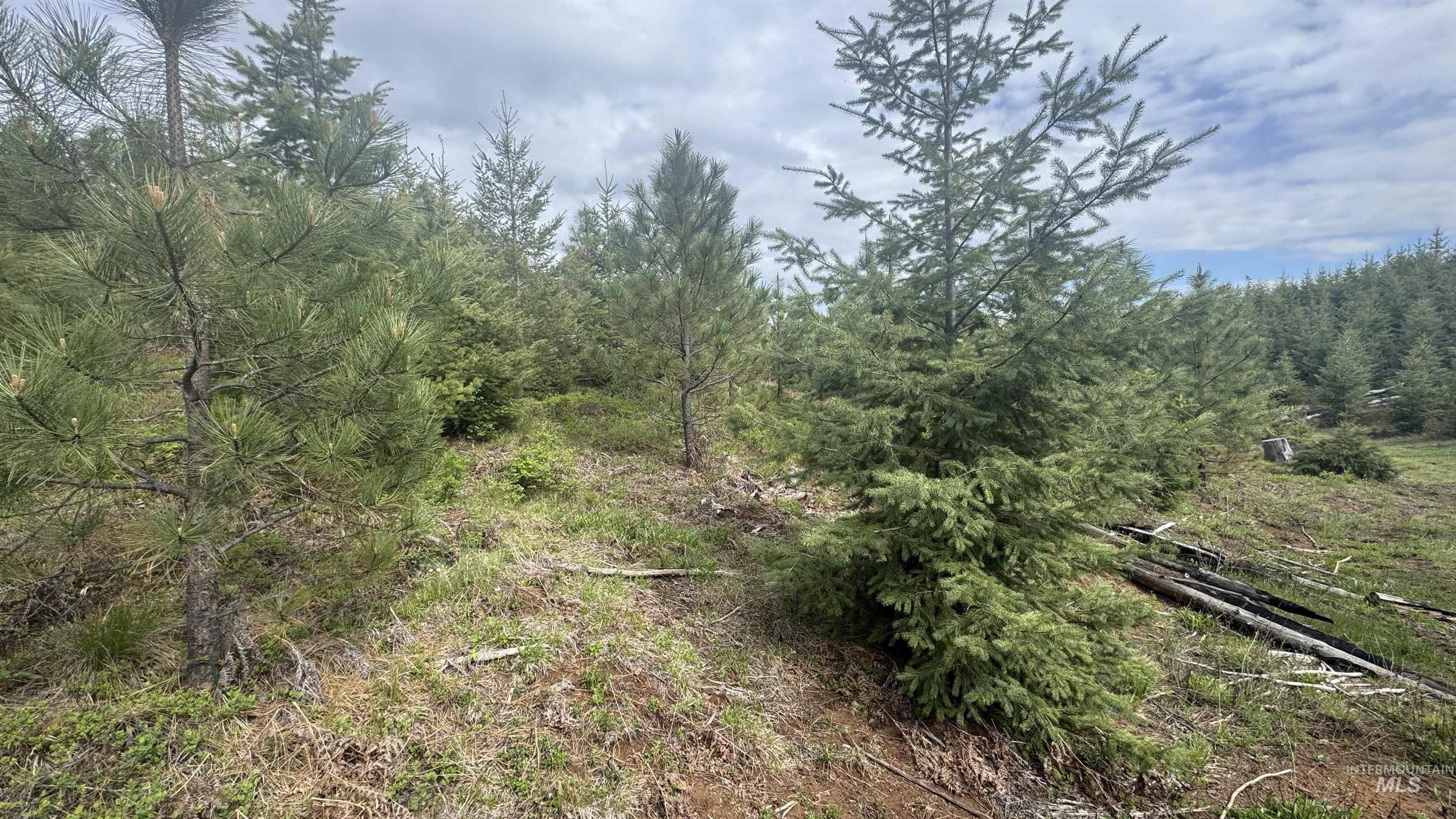 Tbd Badger Ridge Dr Parcel 3 Property Photo 27