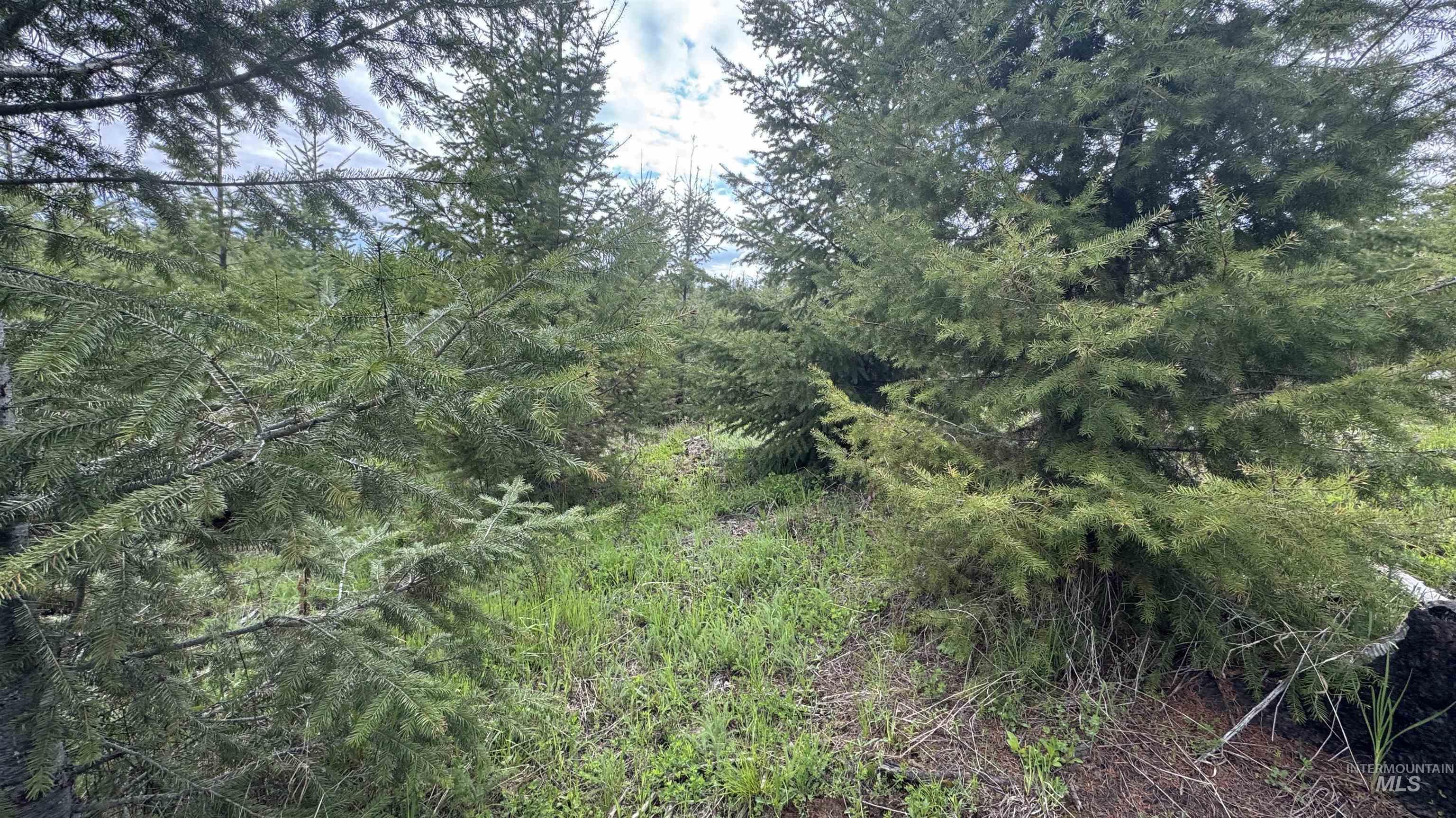 Tbd Badger Ridge Dr Parcel 3 Property Photo 36