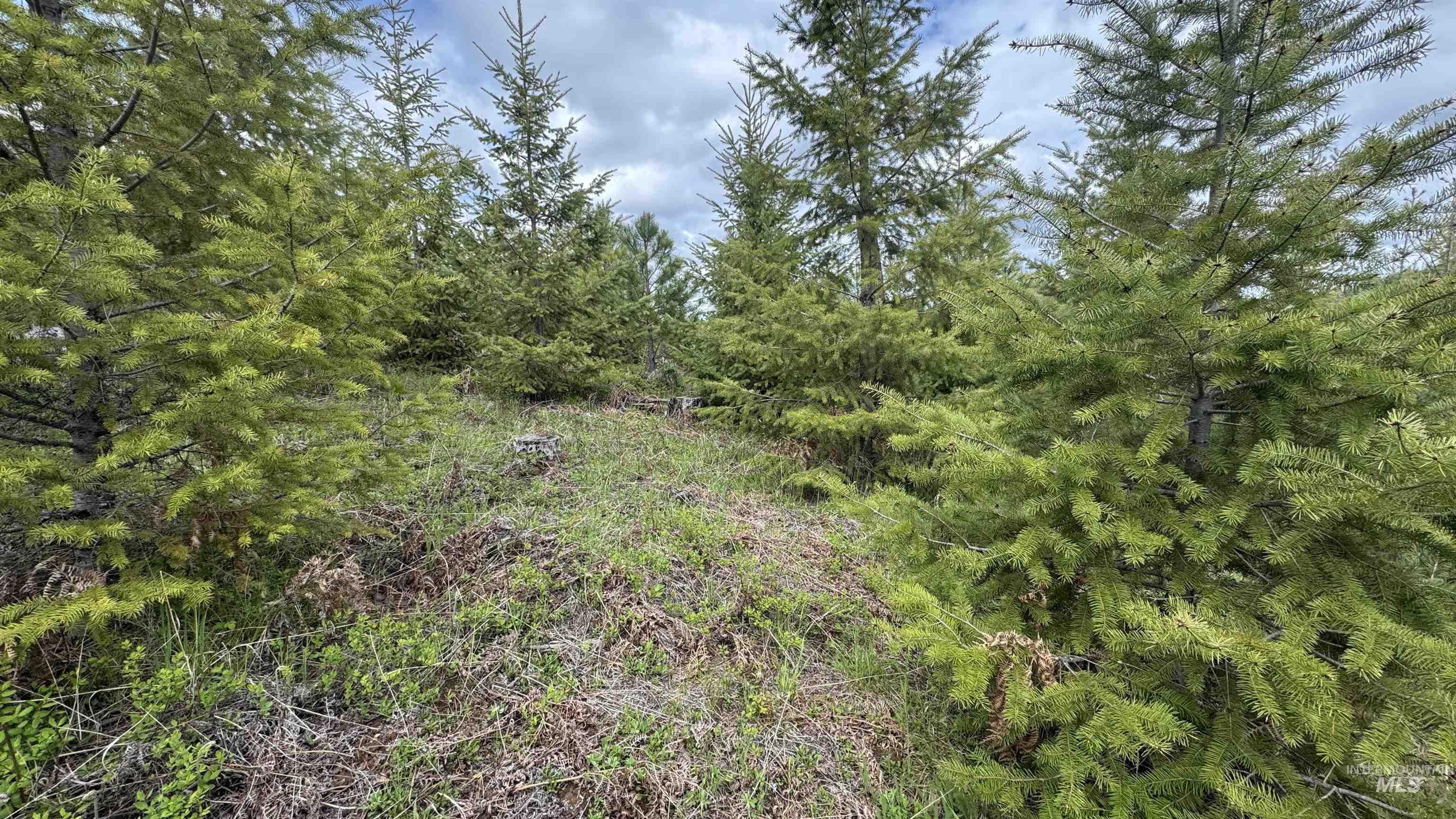 Tbd Badger Ridge Dr Parcel 3 Property Photo 37