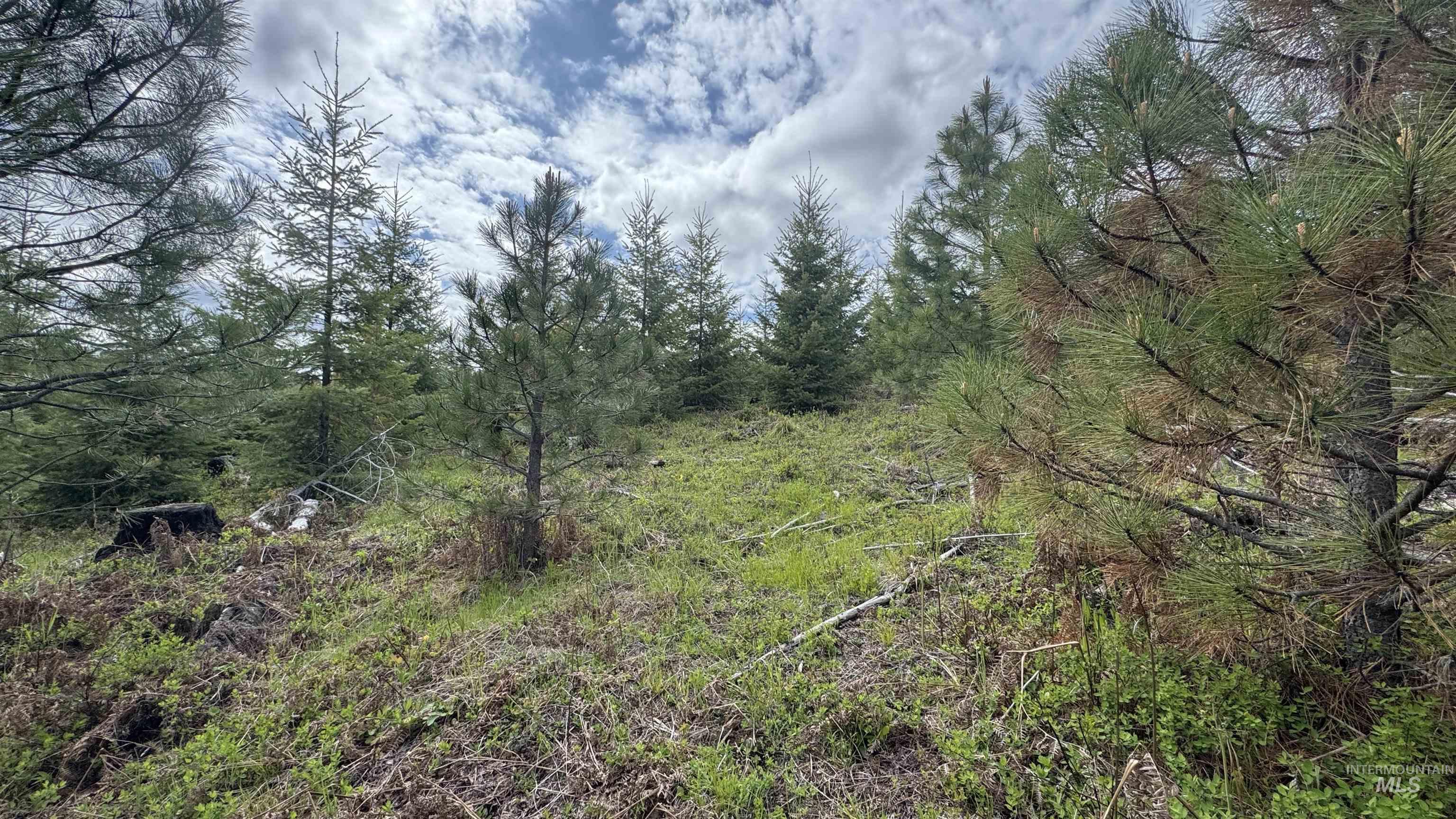 Tbd Badger Ridge Dr Parcel 3 Property Photo 39