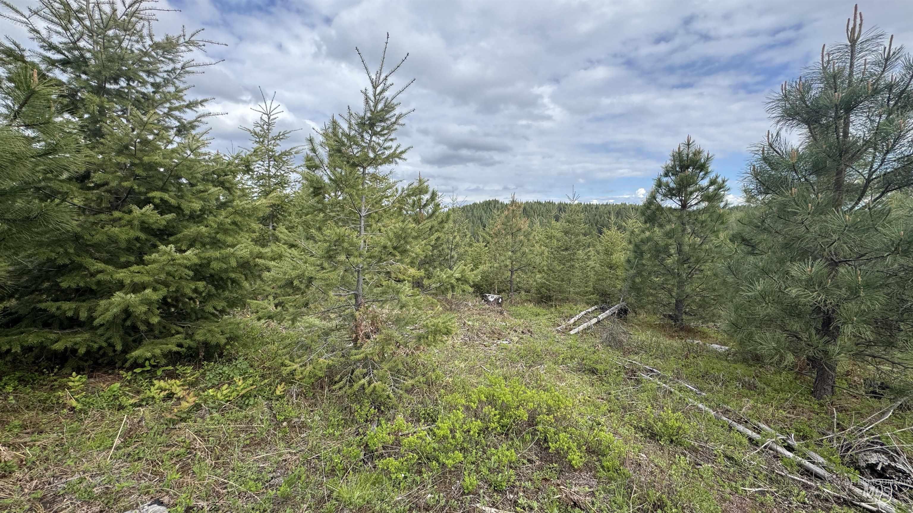 Tbd Badger Ridge Dr Parcel 3 Property Photo 41