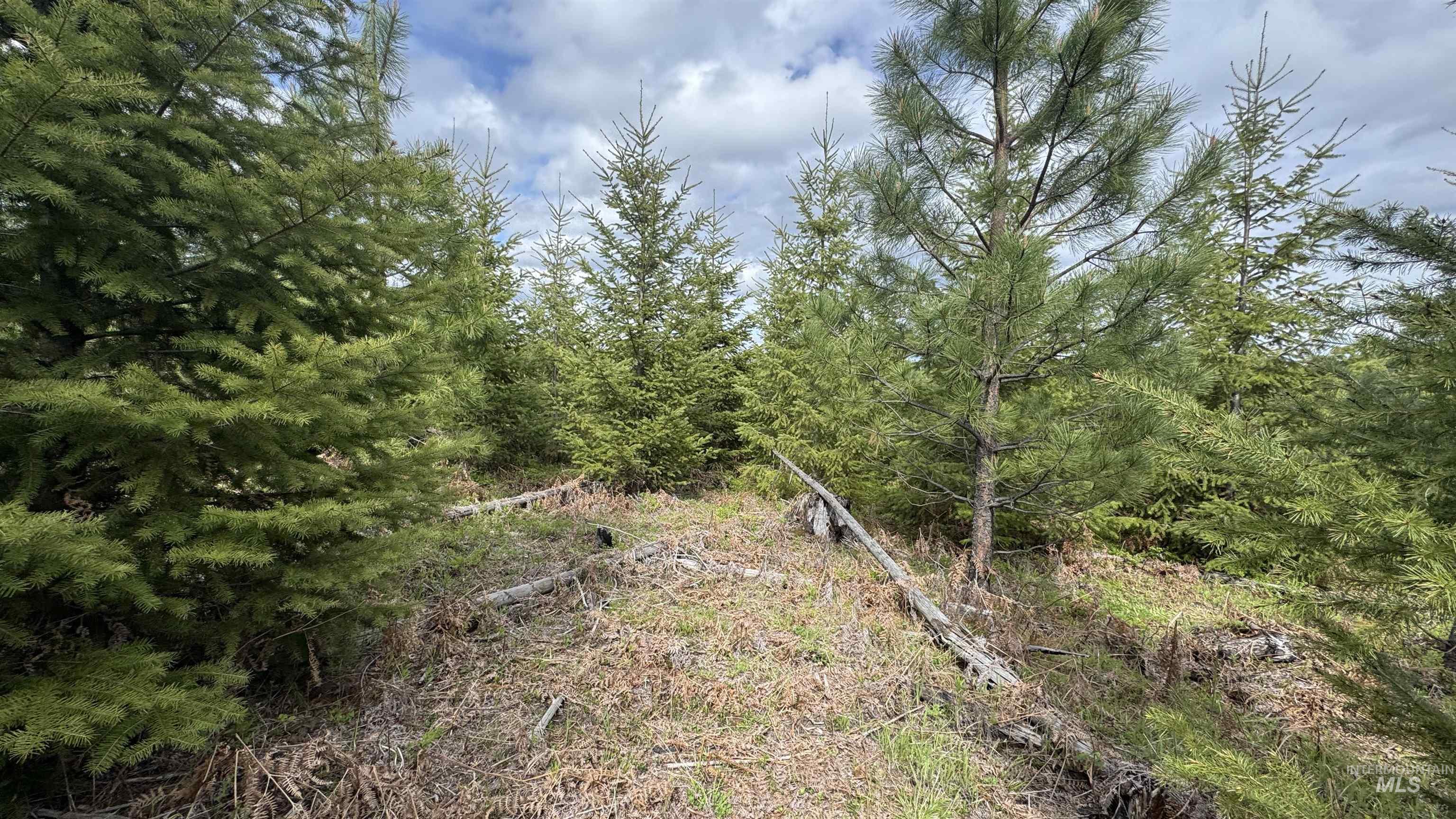 Tbd Badger Ridge Dr Parcel 3 Property Photo 46