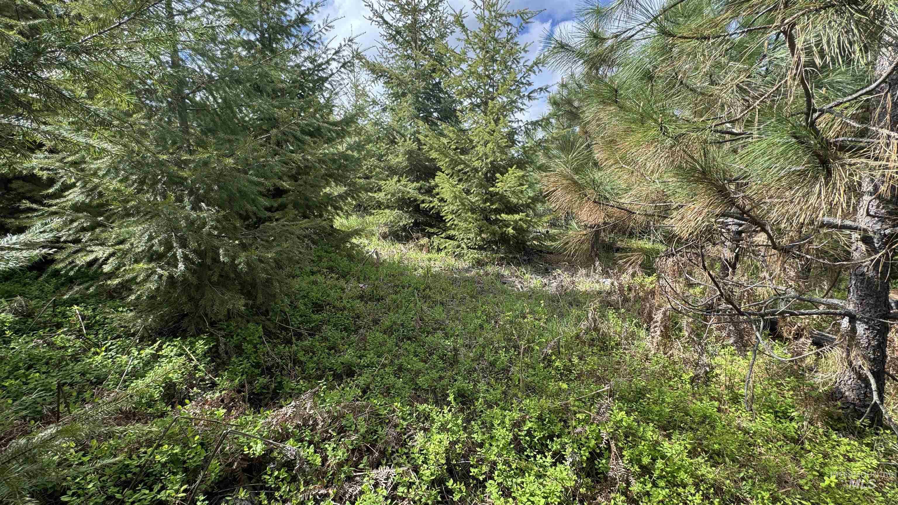 Tbd Badger Ridge Dr Parcel 3 Property Photo 48
