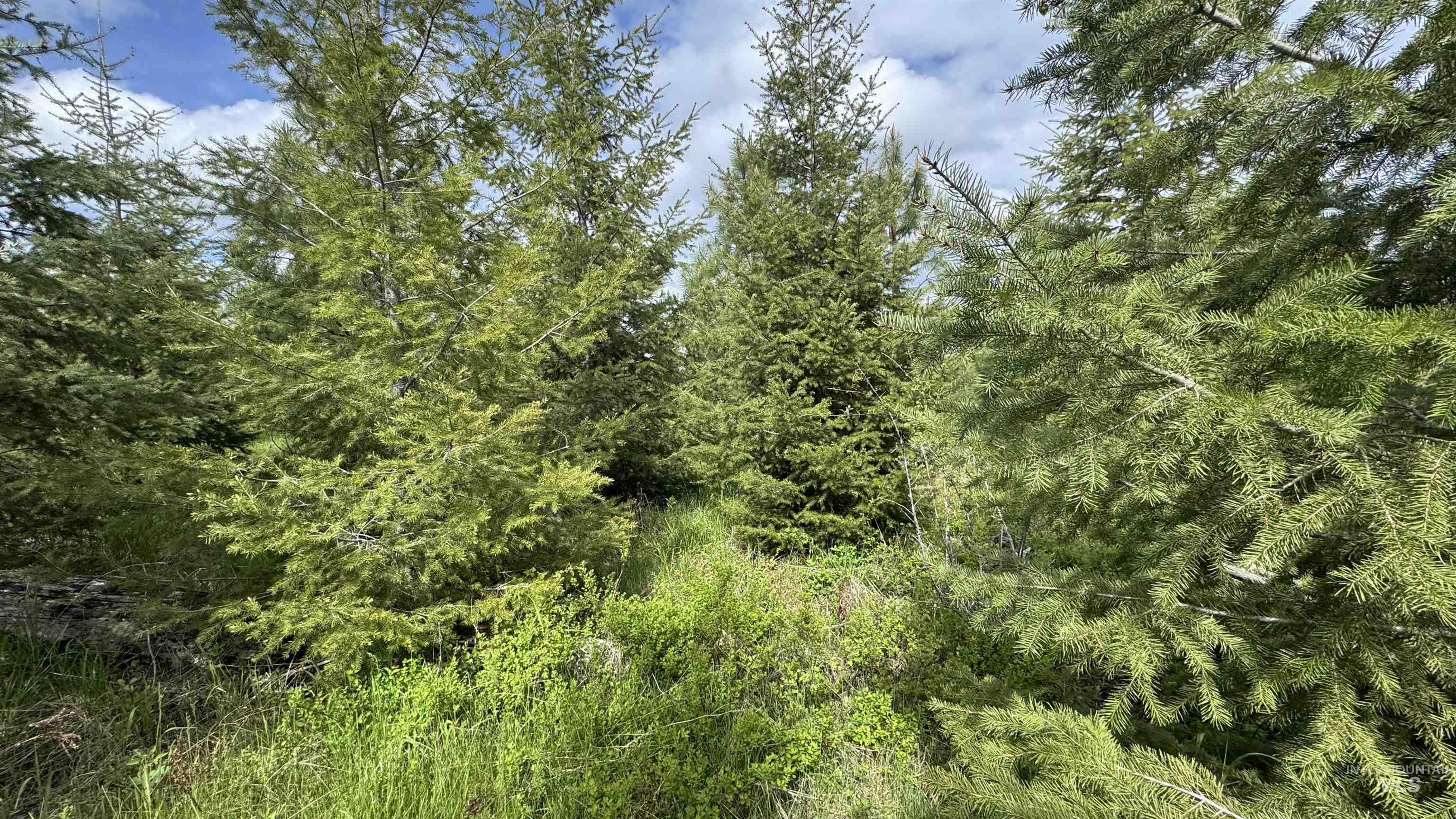 Tbd Badger Ridge Dr Parcel 3 Property Photo 50