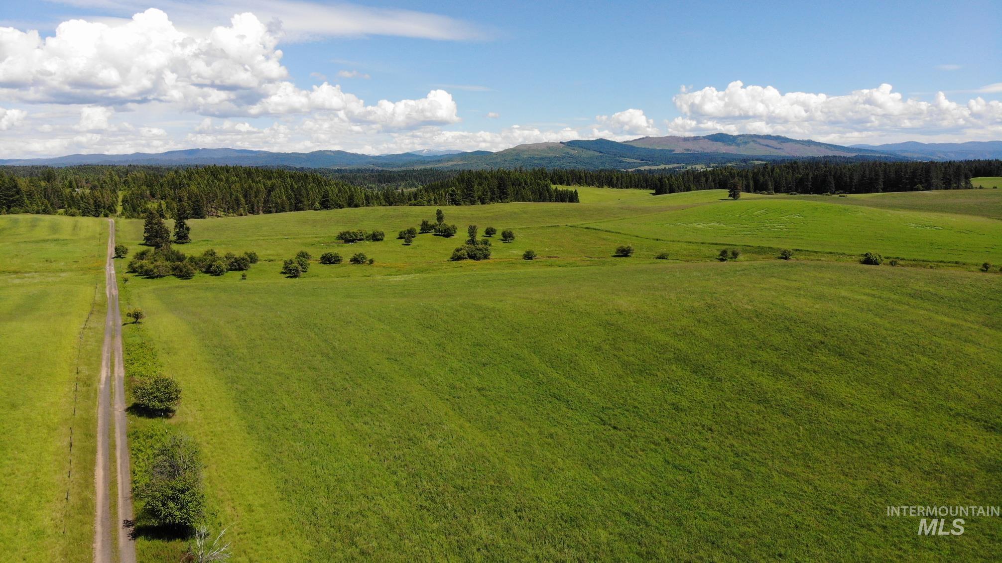 Tbd Woodland-caribel Road Property Photo 1