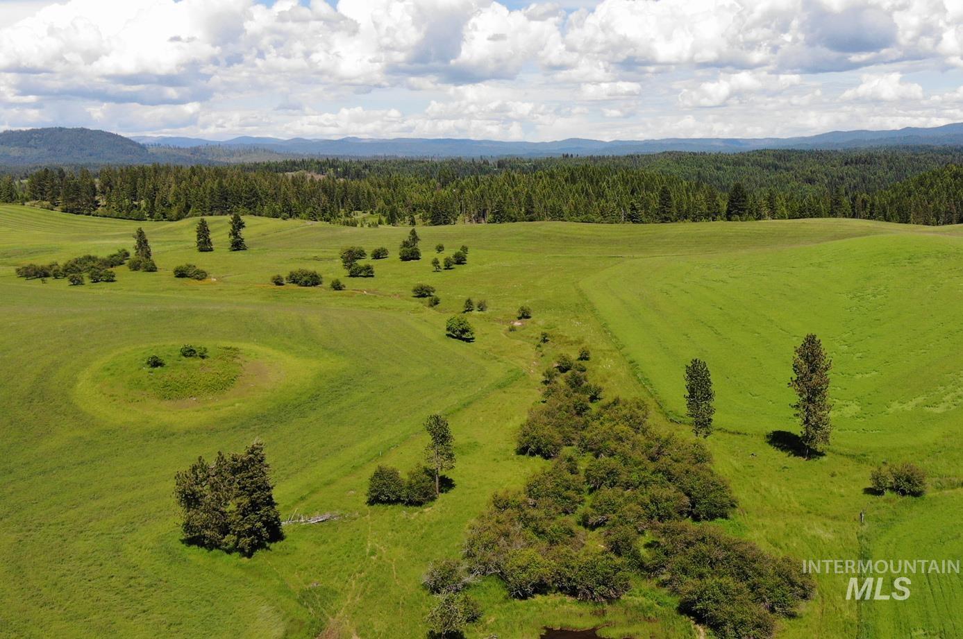Tbd Woodland-caribel Road Property Photo 2