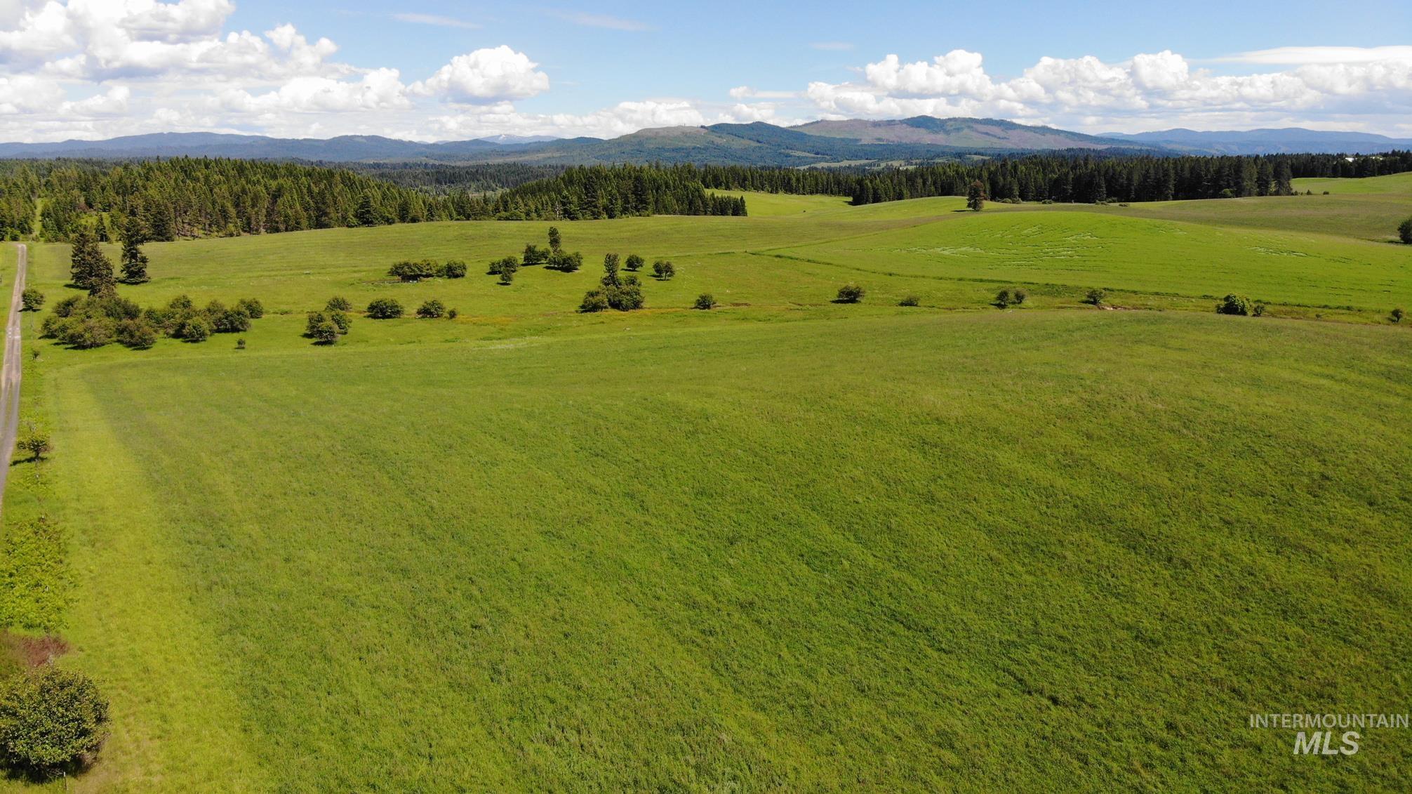Tbd Woodland-caribel Road Property Photo 4