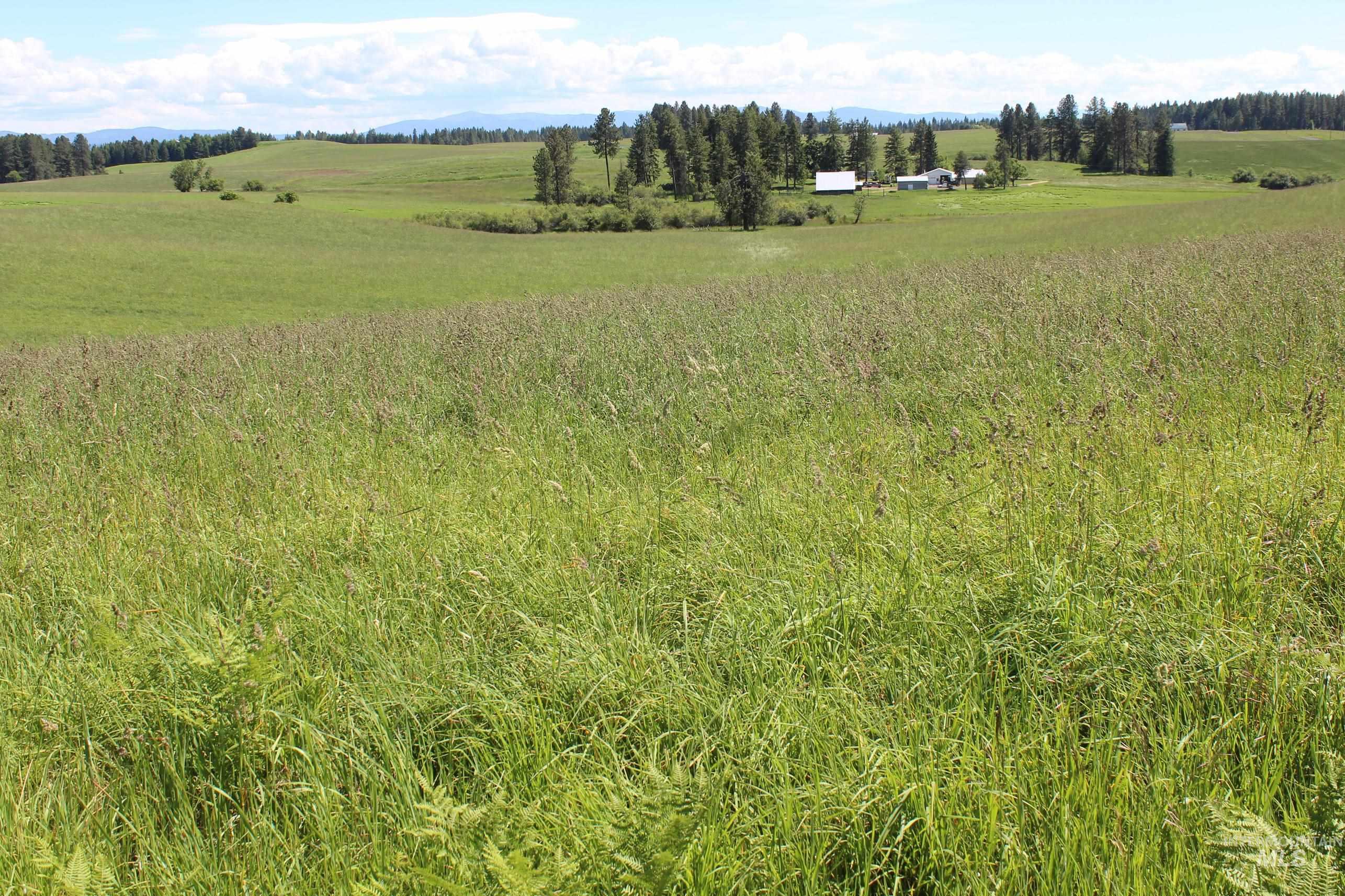 Tbd Woodland-caribel Road Property Photo 5