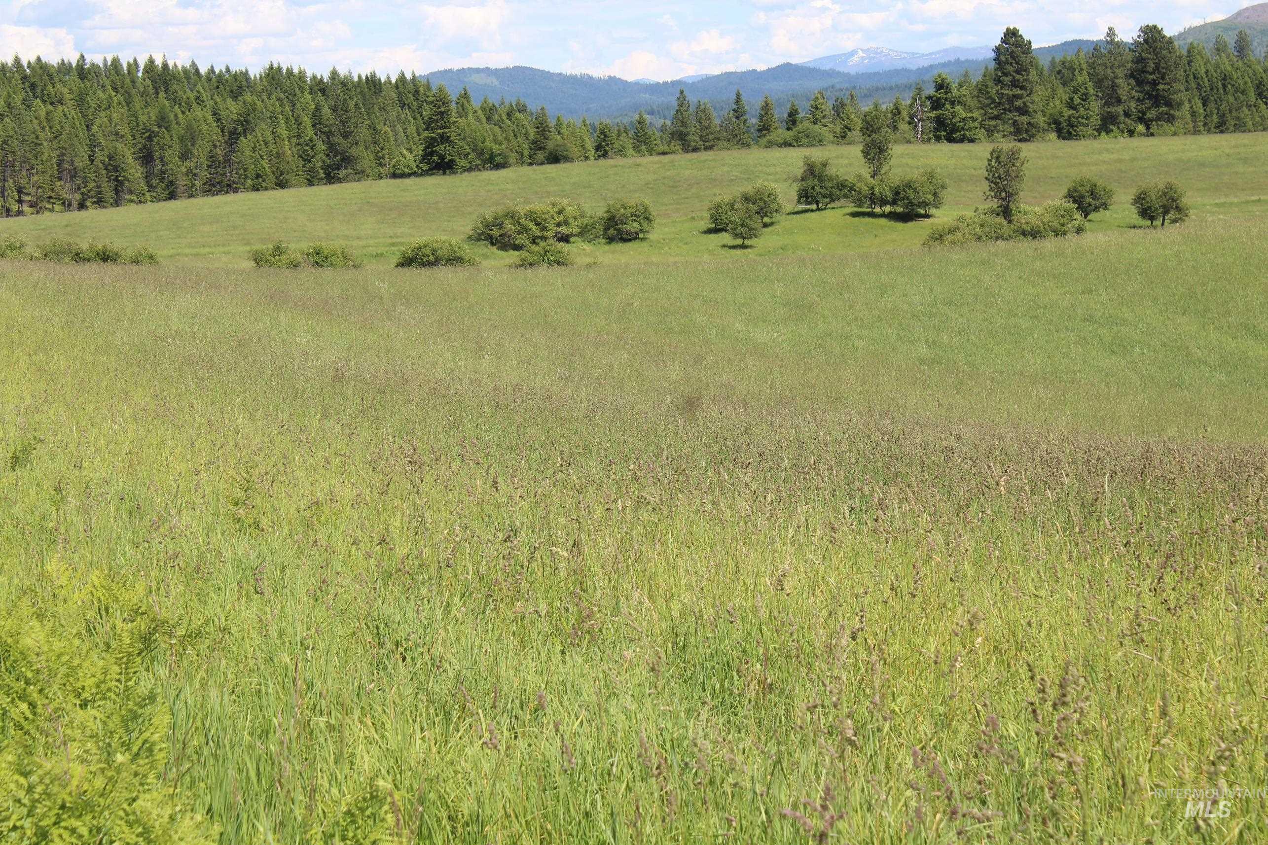 Tbd Woodland-caribel Road Property Photo 7