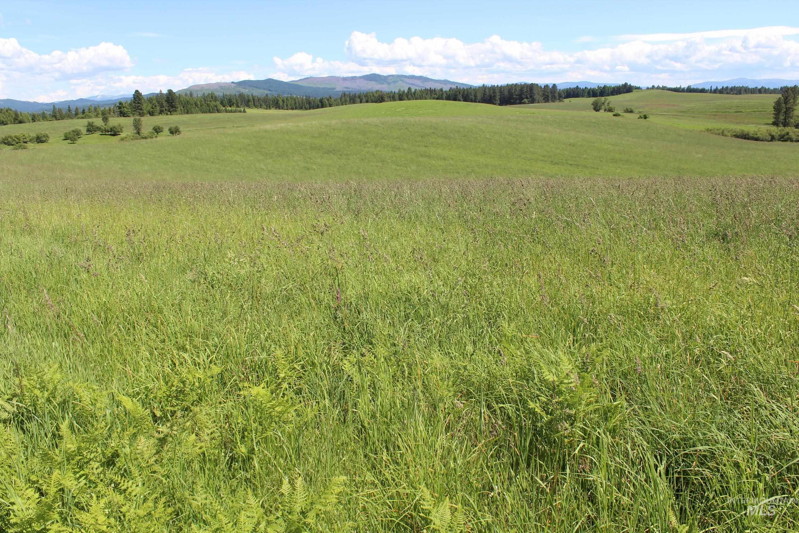 Tbd Woodland-caribel Road Property Photo 8