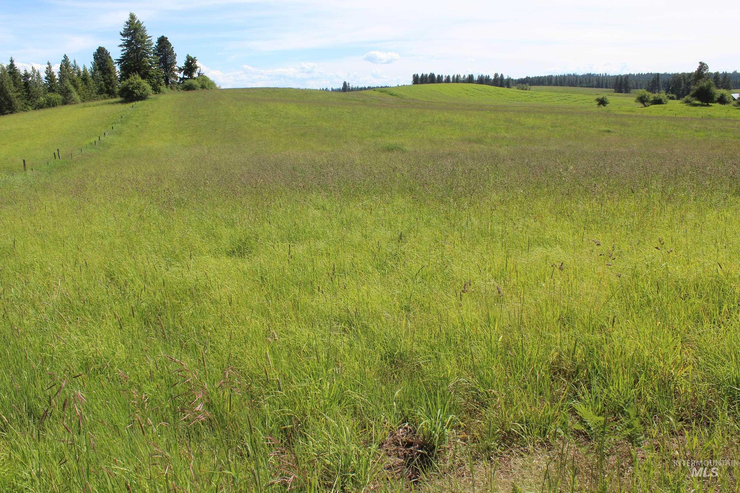 Tbd Woodland-caribel Road Property Photo 9