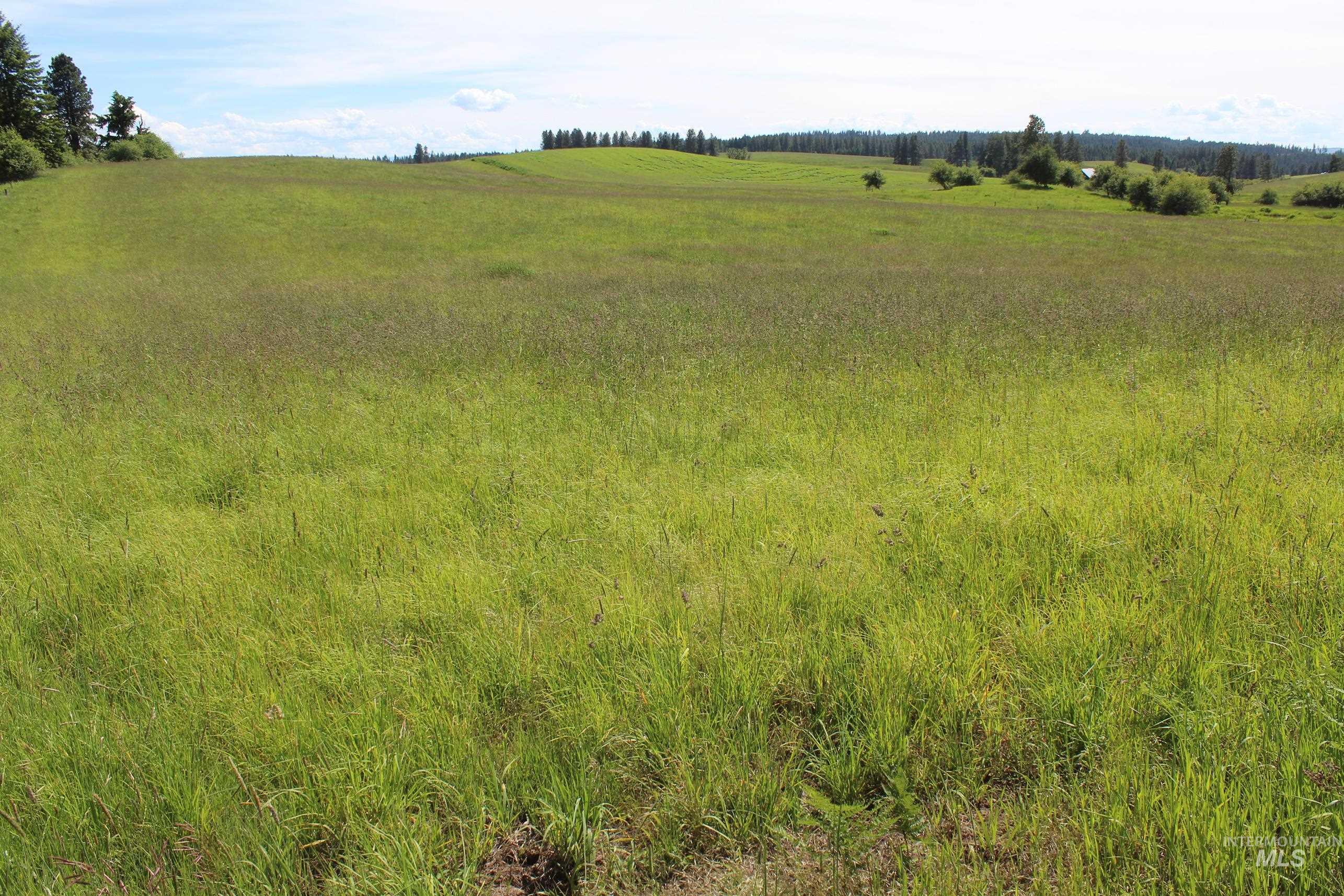 Tbd Woodland-caribel Road Property Photo 11