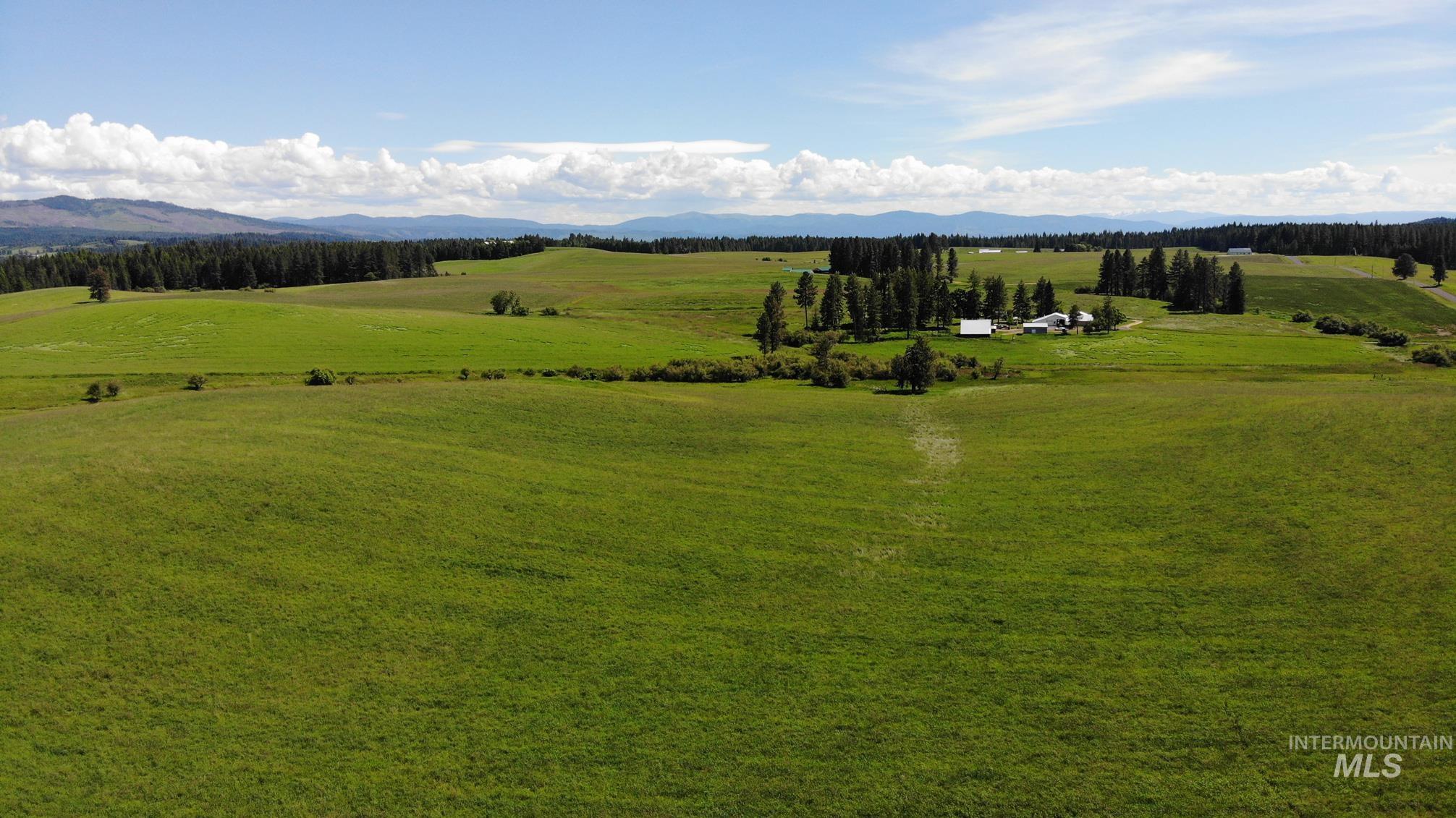 Tbd Woodland-caribel Road Property Photo 12