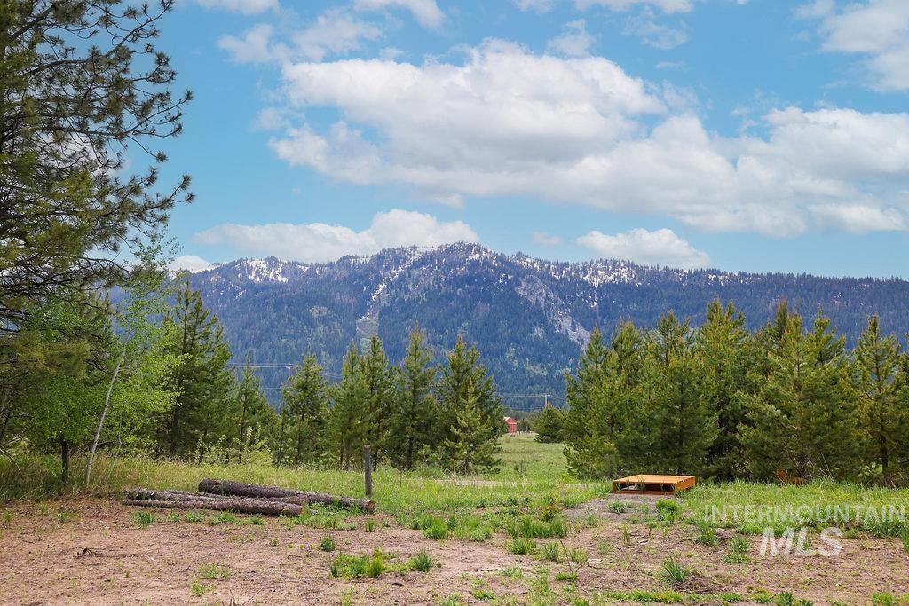 13152 Hill House Loop Property Photo 4