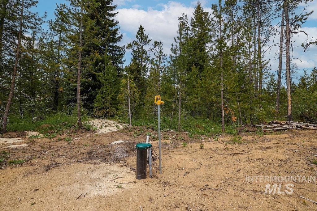 13152 Hill House Loop Property Photo 17