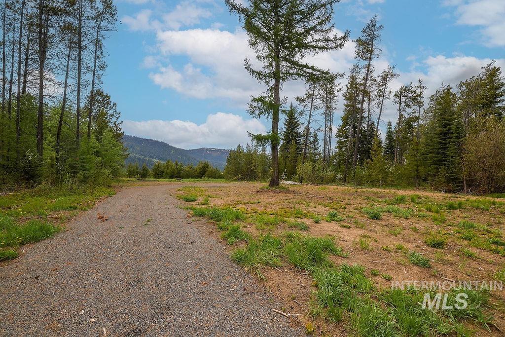 13152 Hill House Loop Property Photo 18