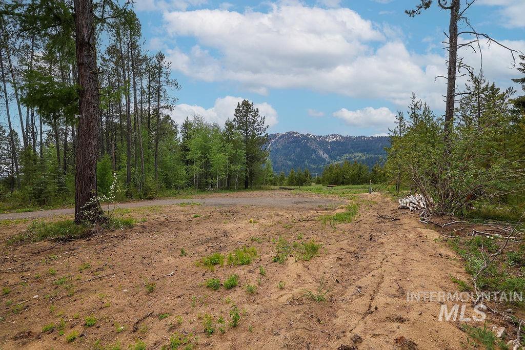 13152 Hill House Loop Property Photo 21