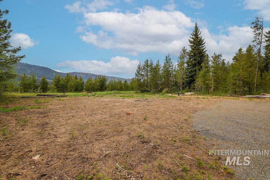 13152 Hill House Loop Property Photo 23
