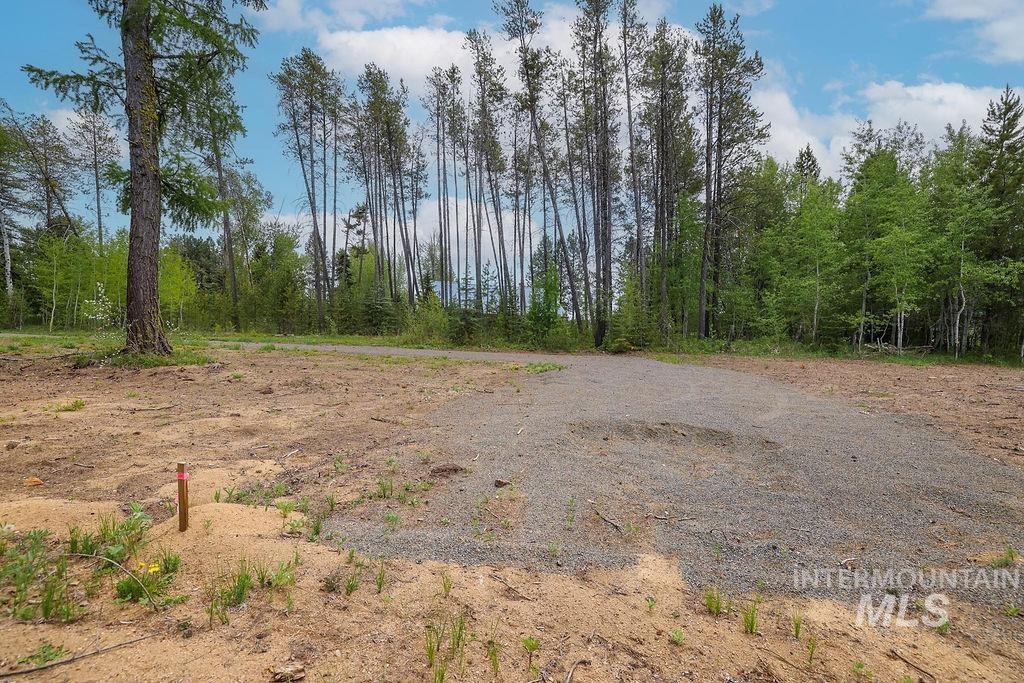 13152 Hill House Loop Property Photo 29