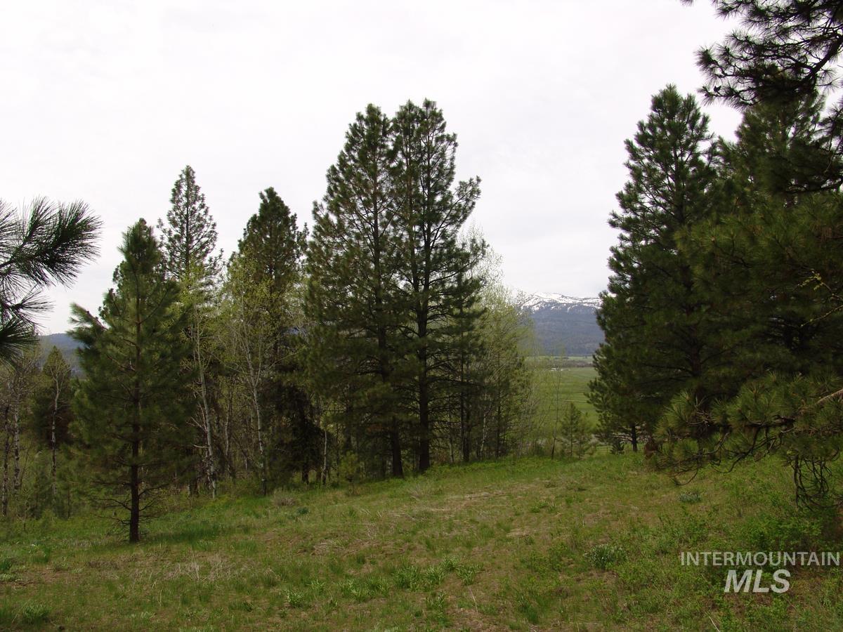10846 Callender Road Property Photo 5