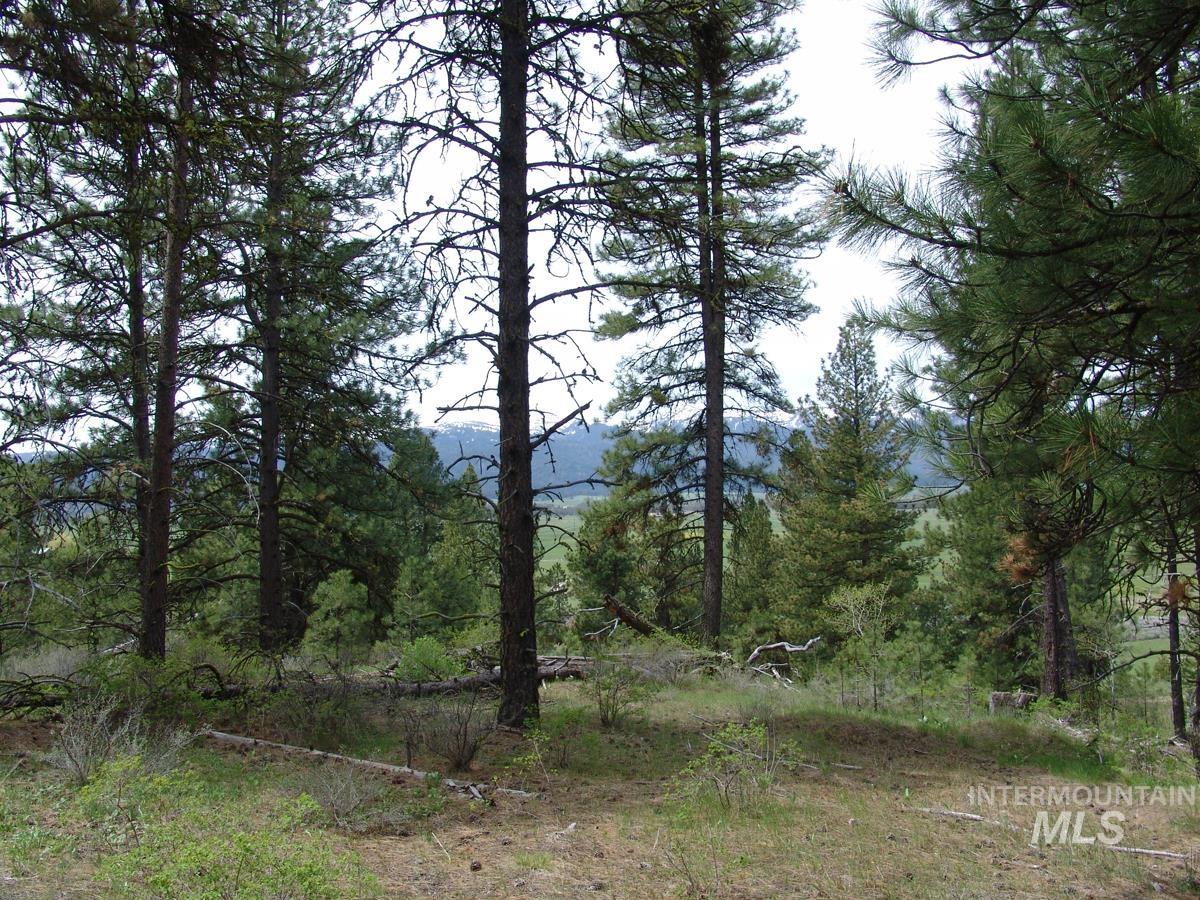 10846 Callender Road Property Photo 6