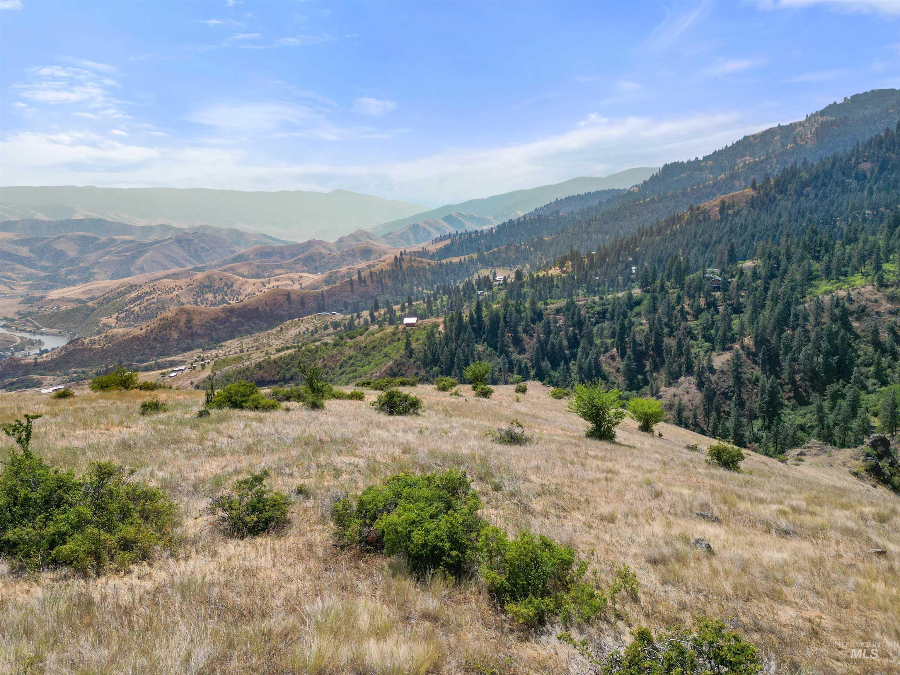 Tbd Blue Grouse Road Property Photo 2