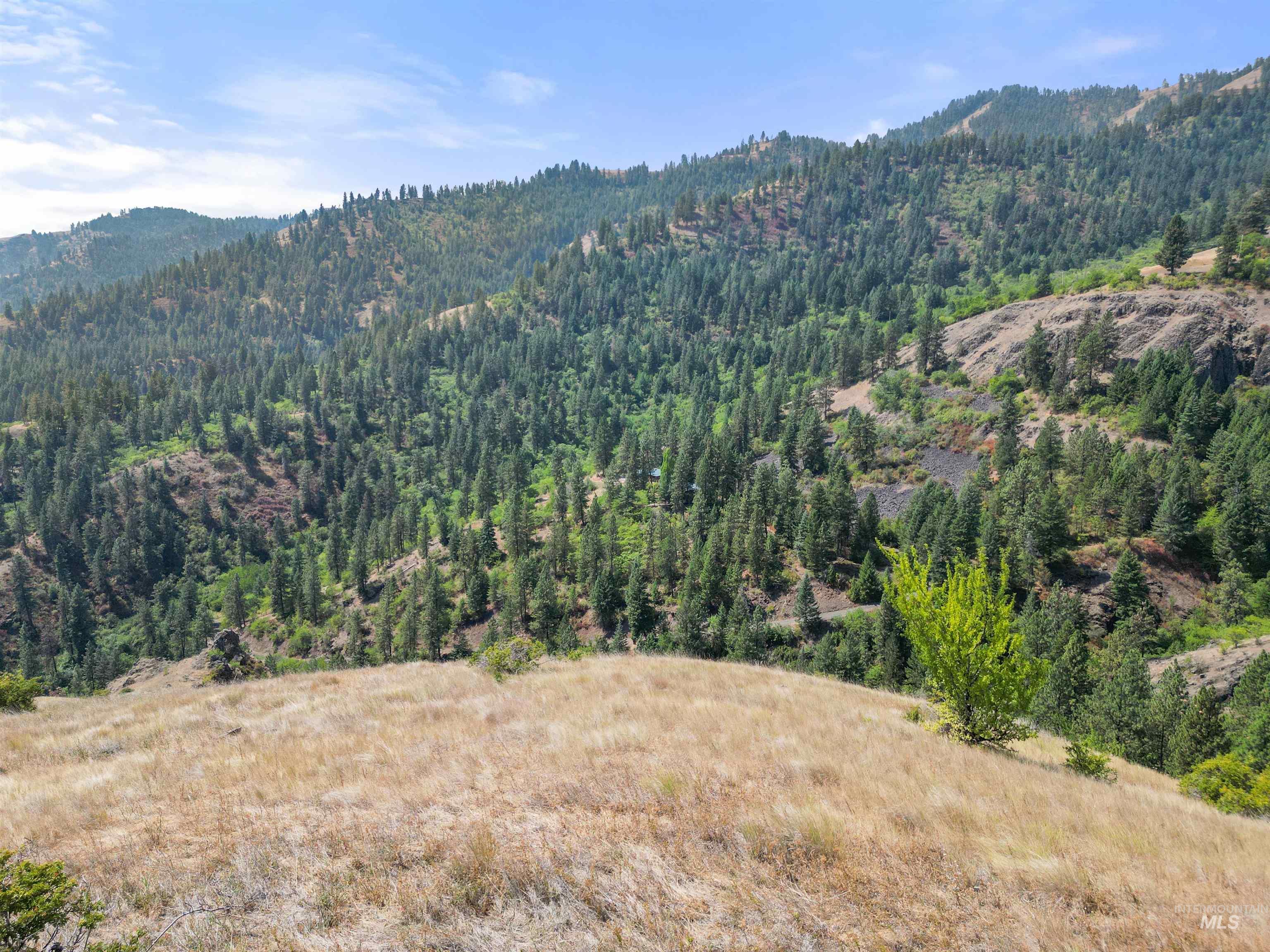 Tbd Blue Grouse Road Property Photo 3