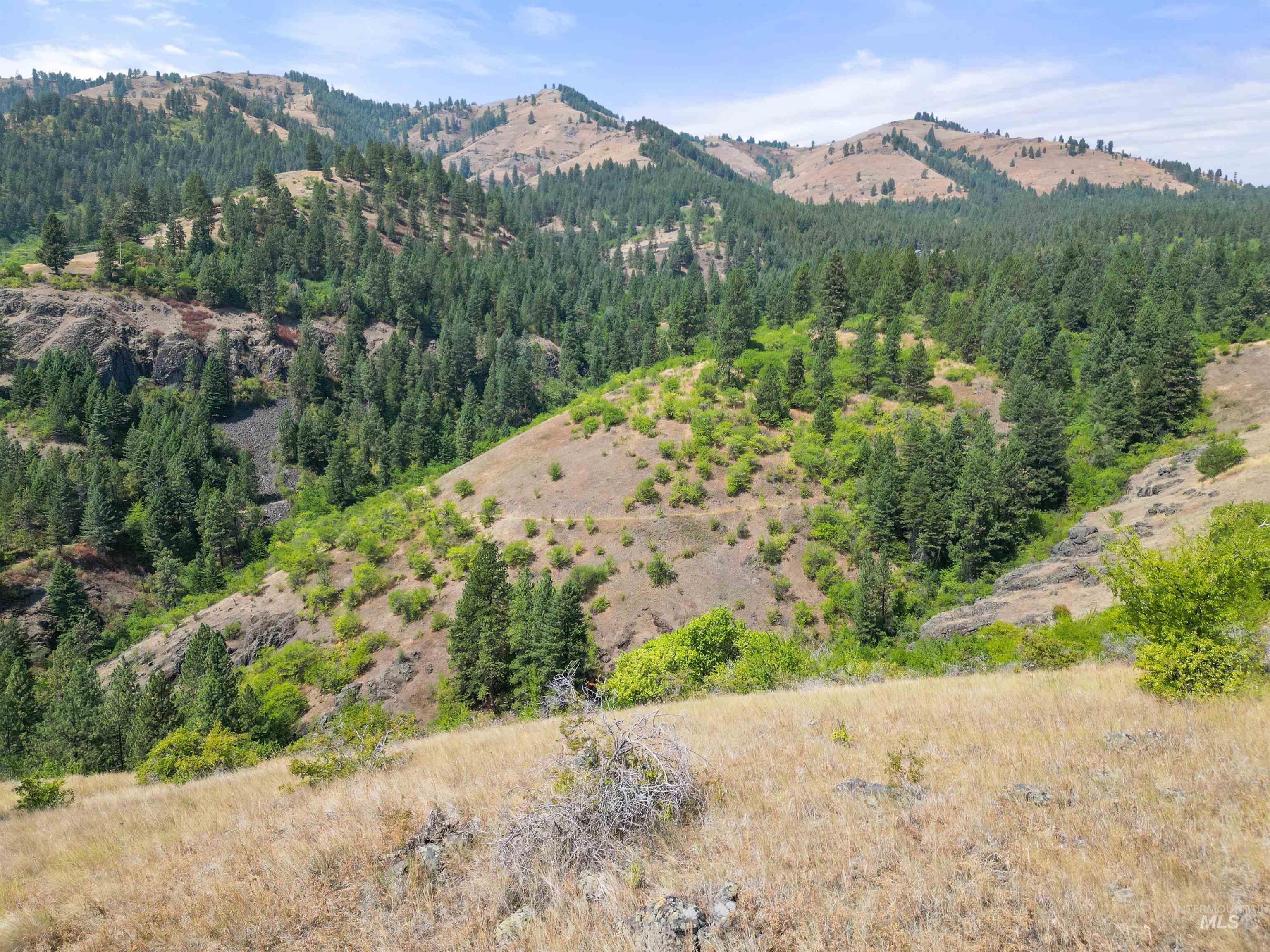 Tbd Blue Grouse Road Property Photo 4