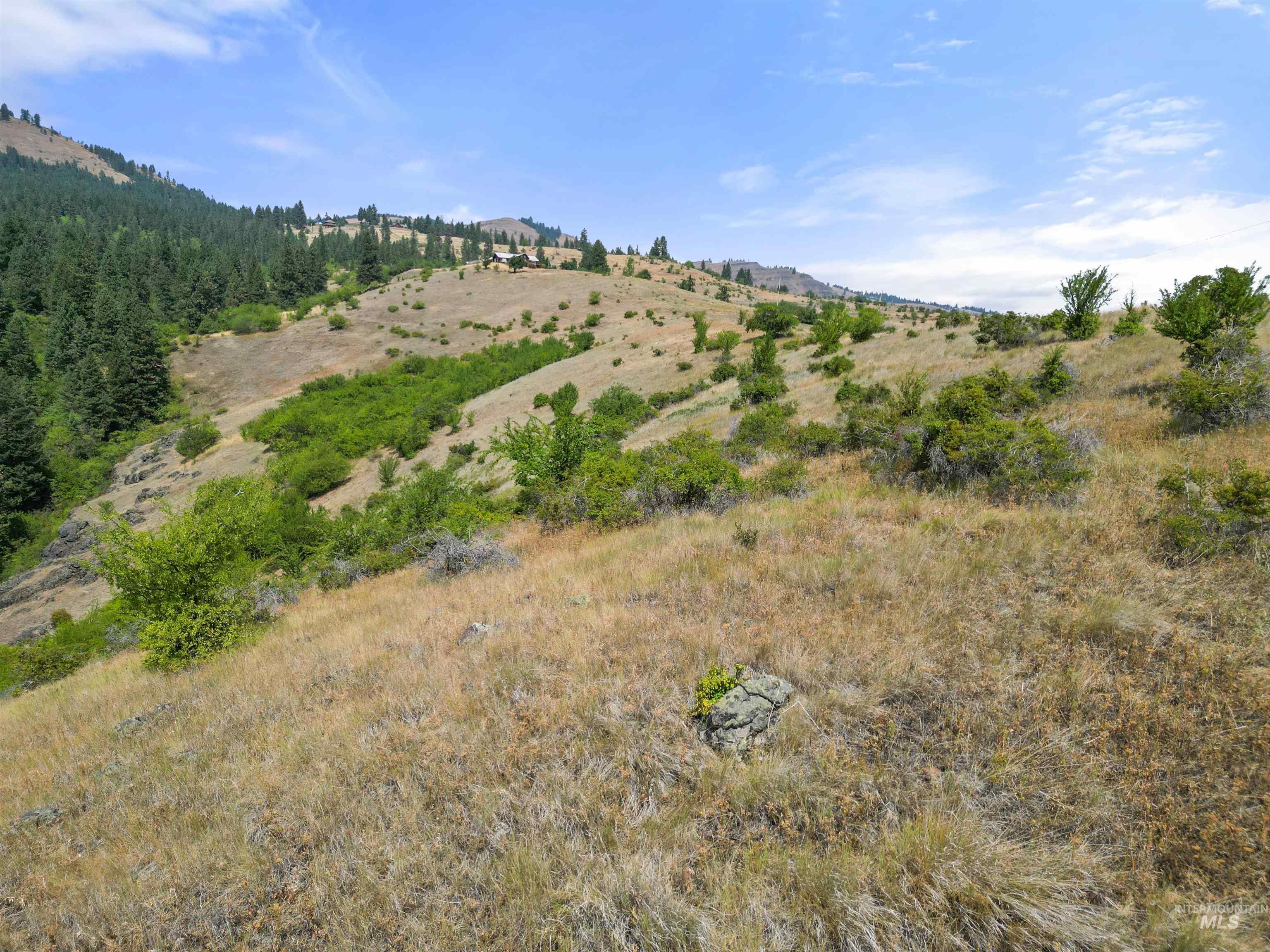 Tbd Blue Grouse Road Property Photo 5