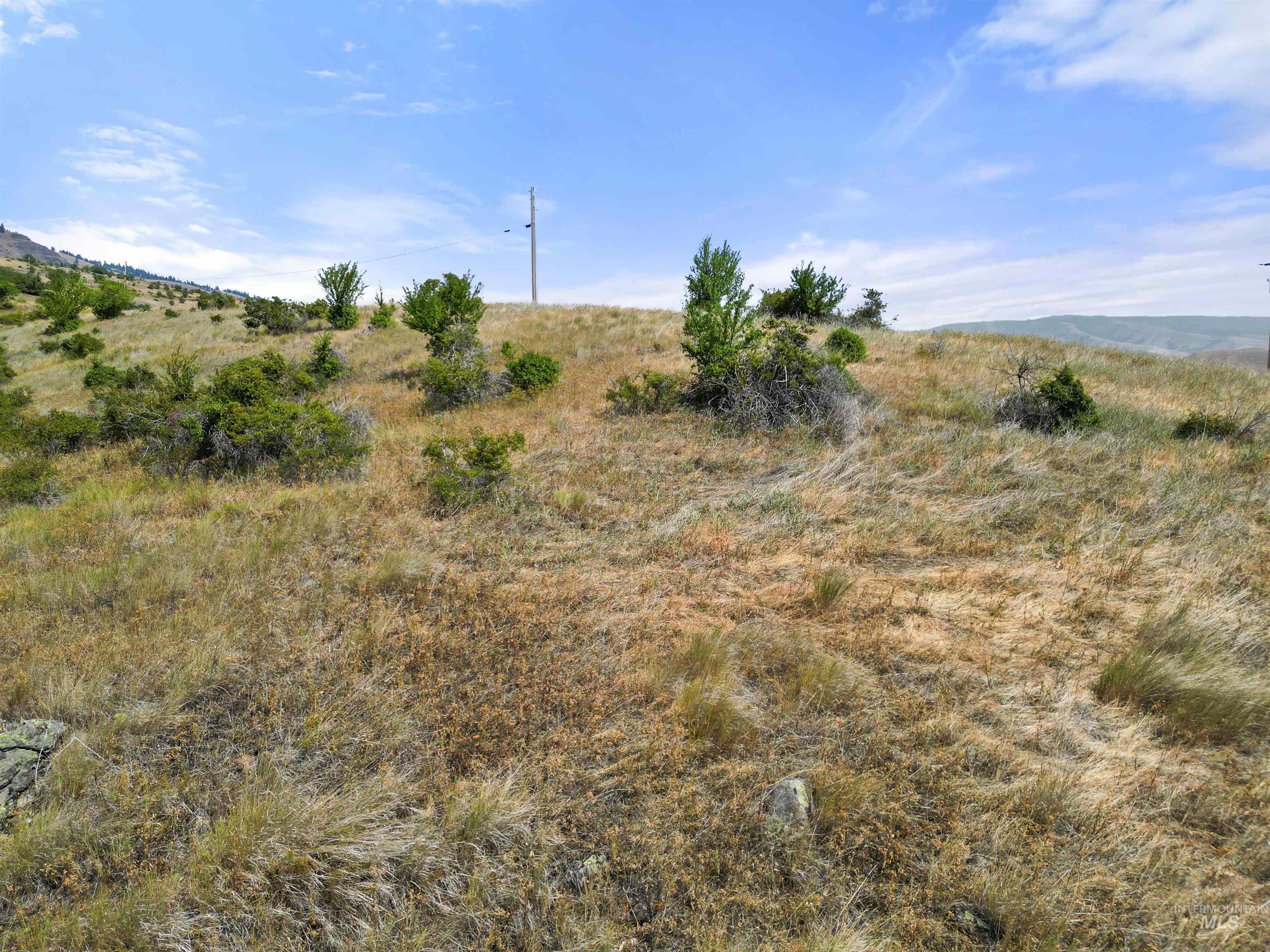 Tbd Blue Grouse Road Property Photo 6