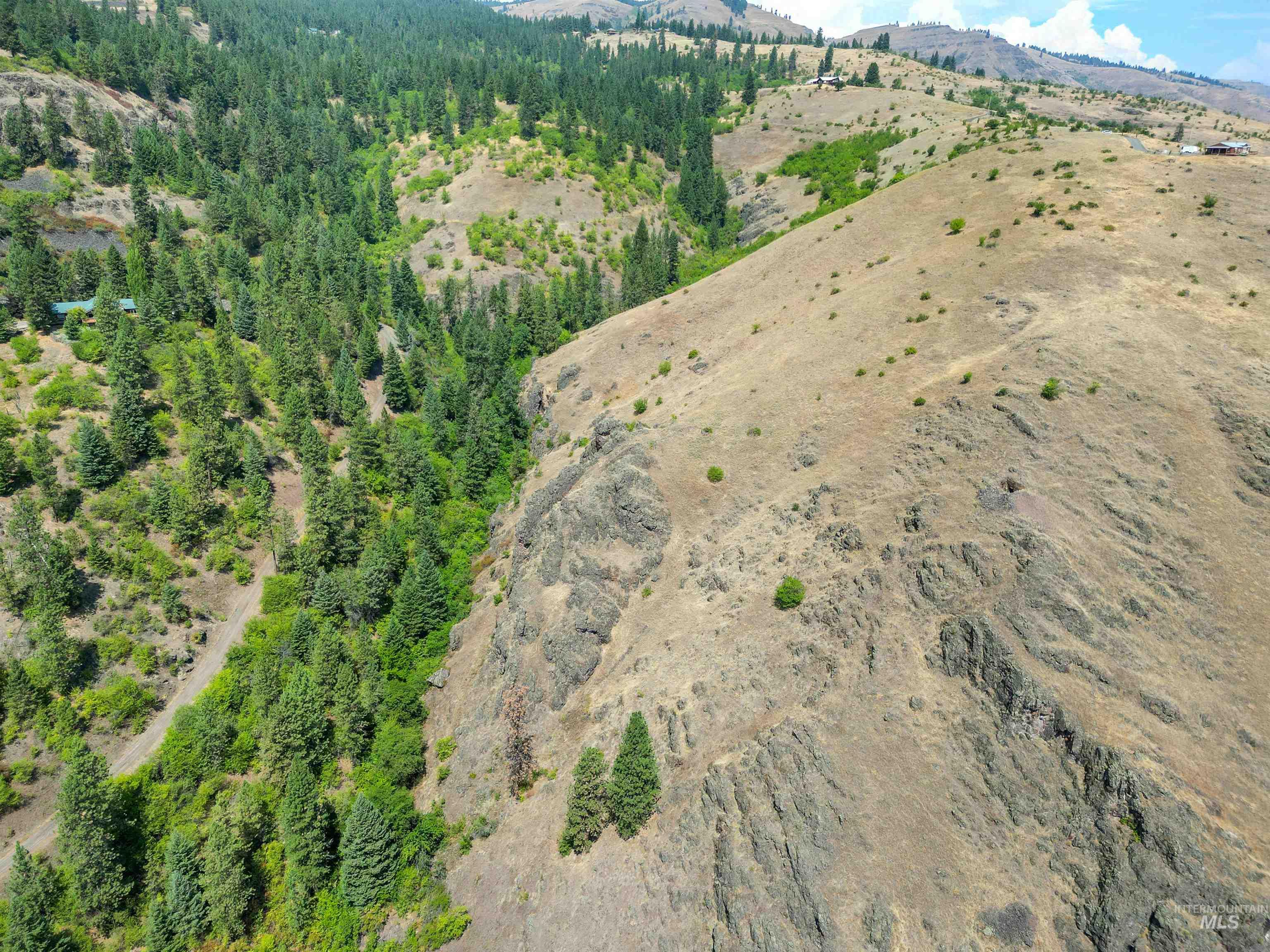 Tbd Blue Grouse Road Property Photo 8