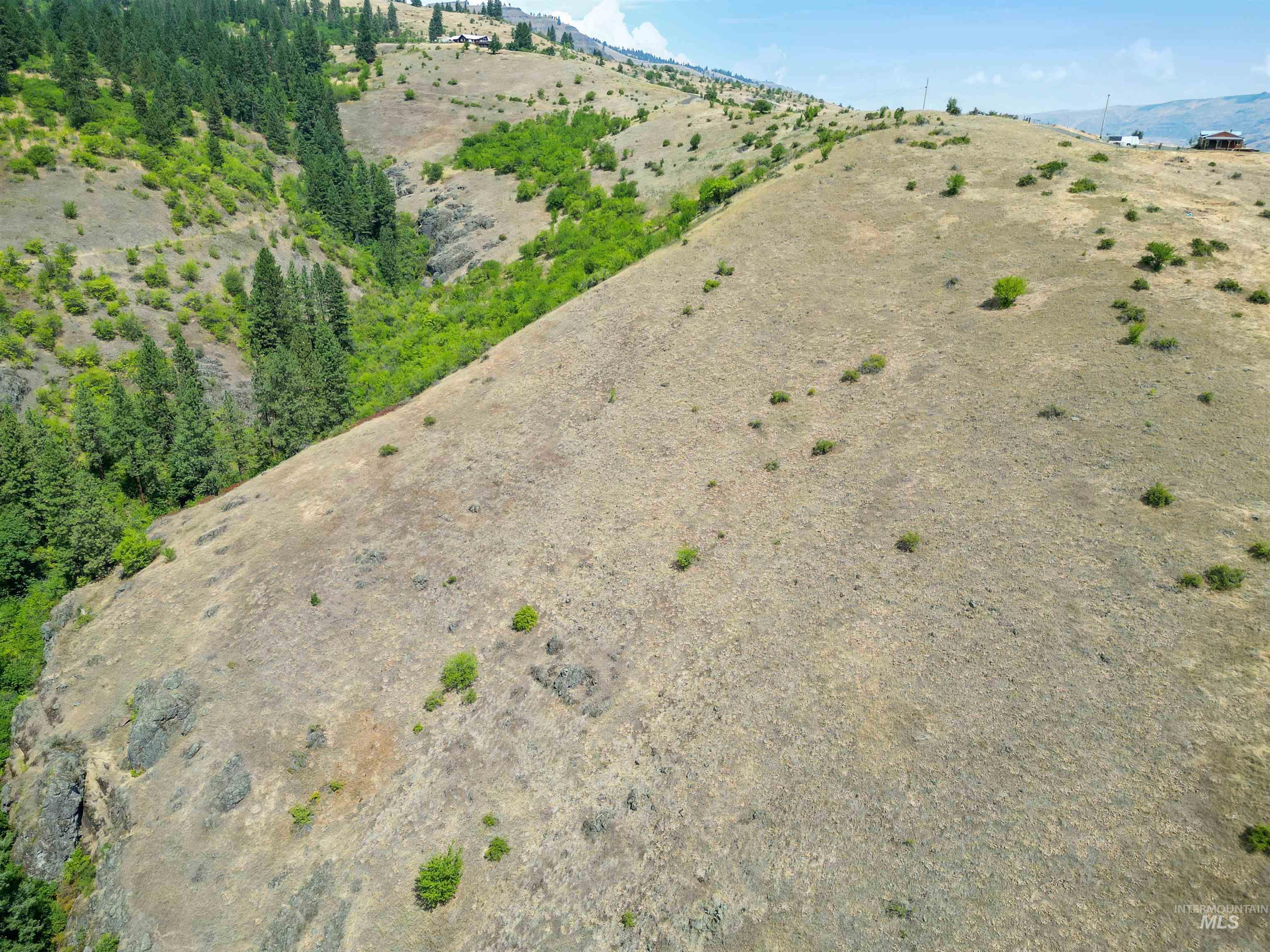 Tbd Blue Grouse Road Property Photo 9