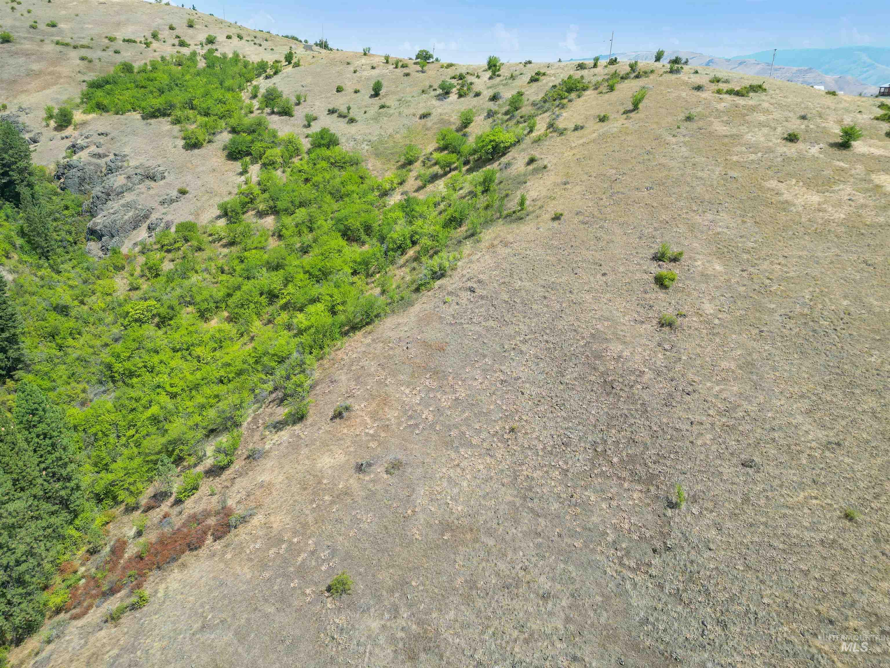 Tbd Blue Grouse Road Property Photo 10