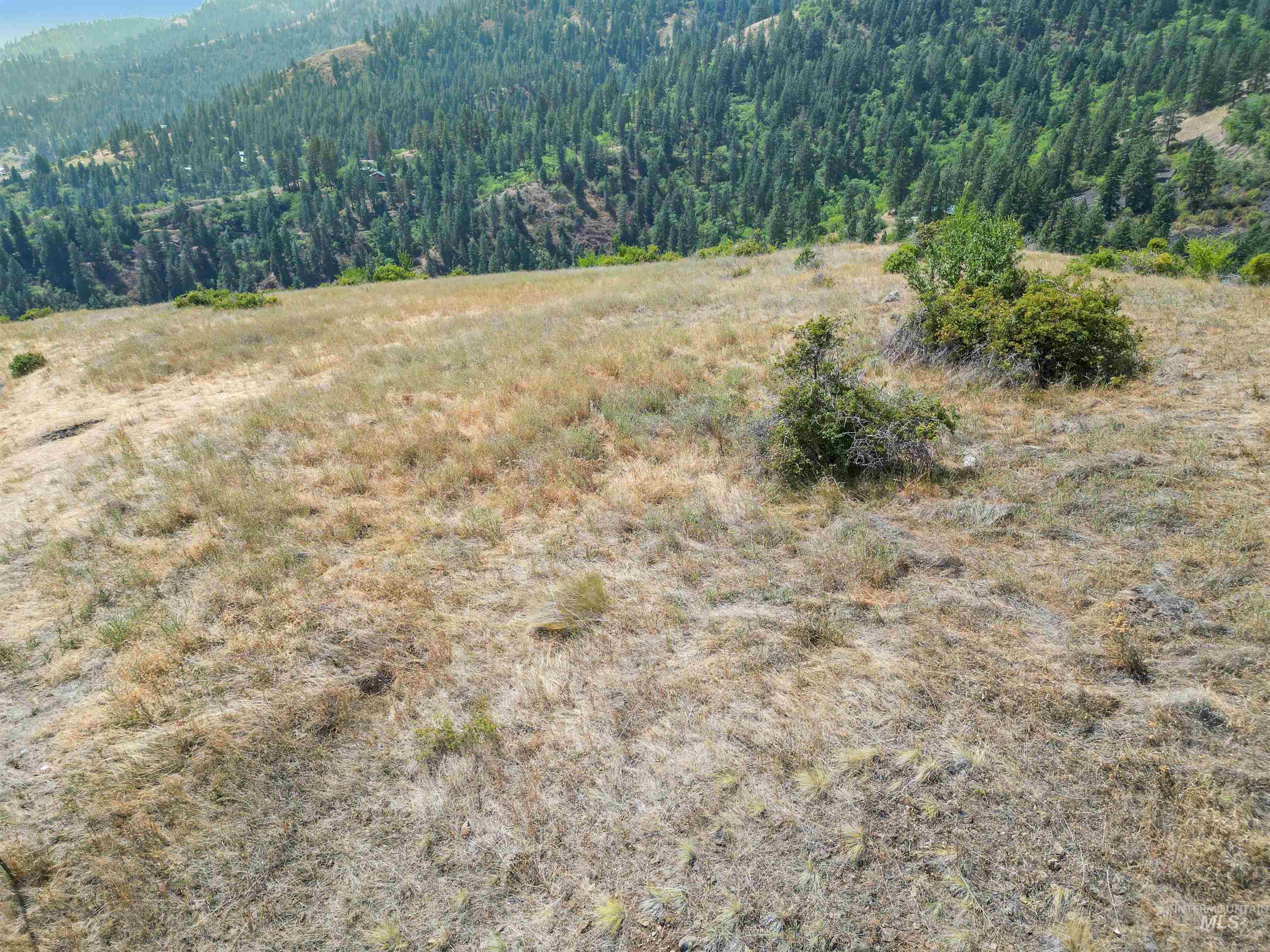 Tbd Blue Grouse Road Property Photo 11