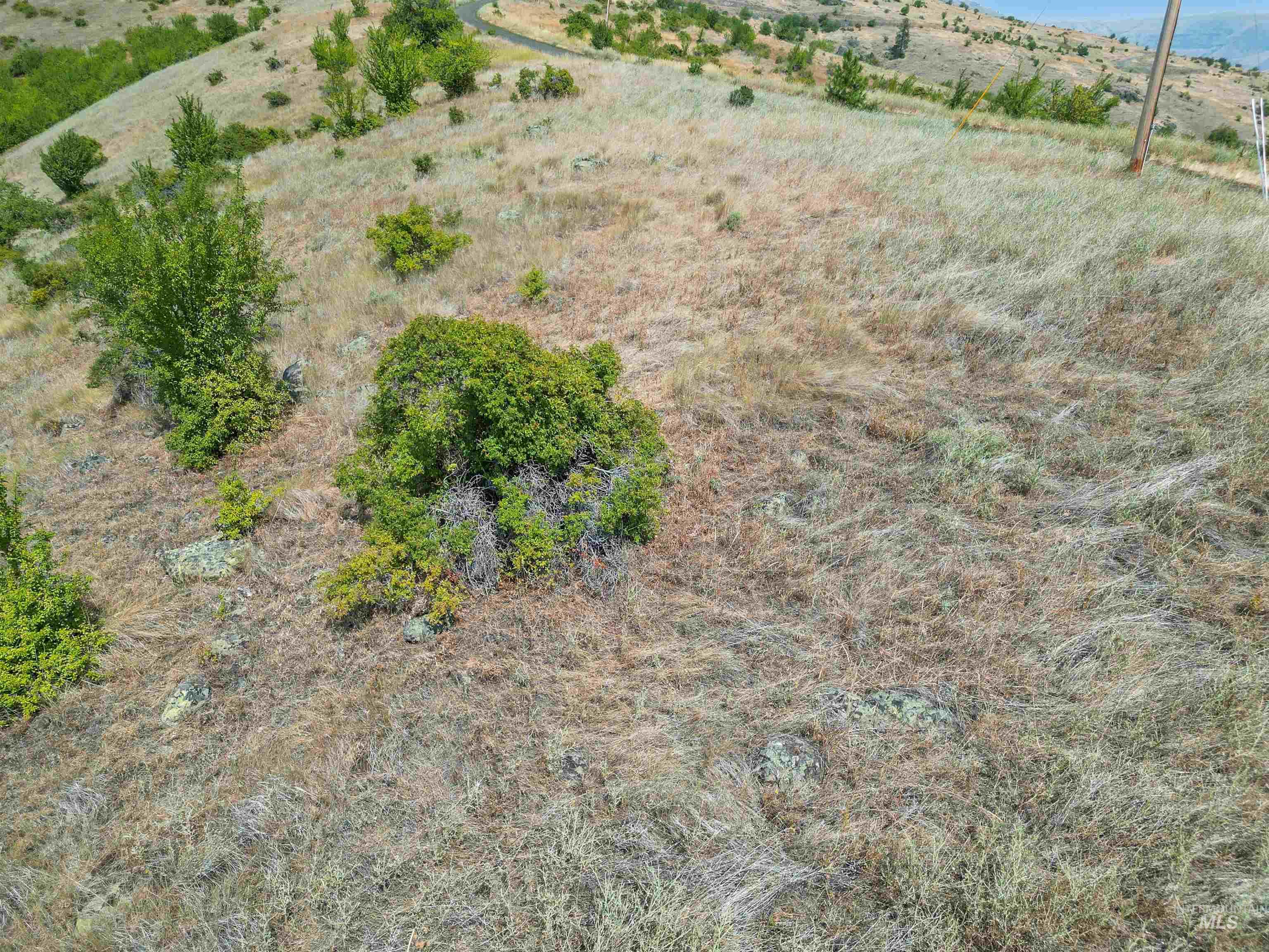 Tbd Blue Grouse Road Property Photo 12