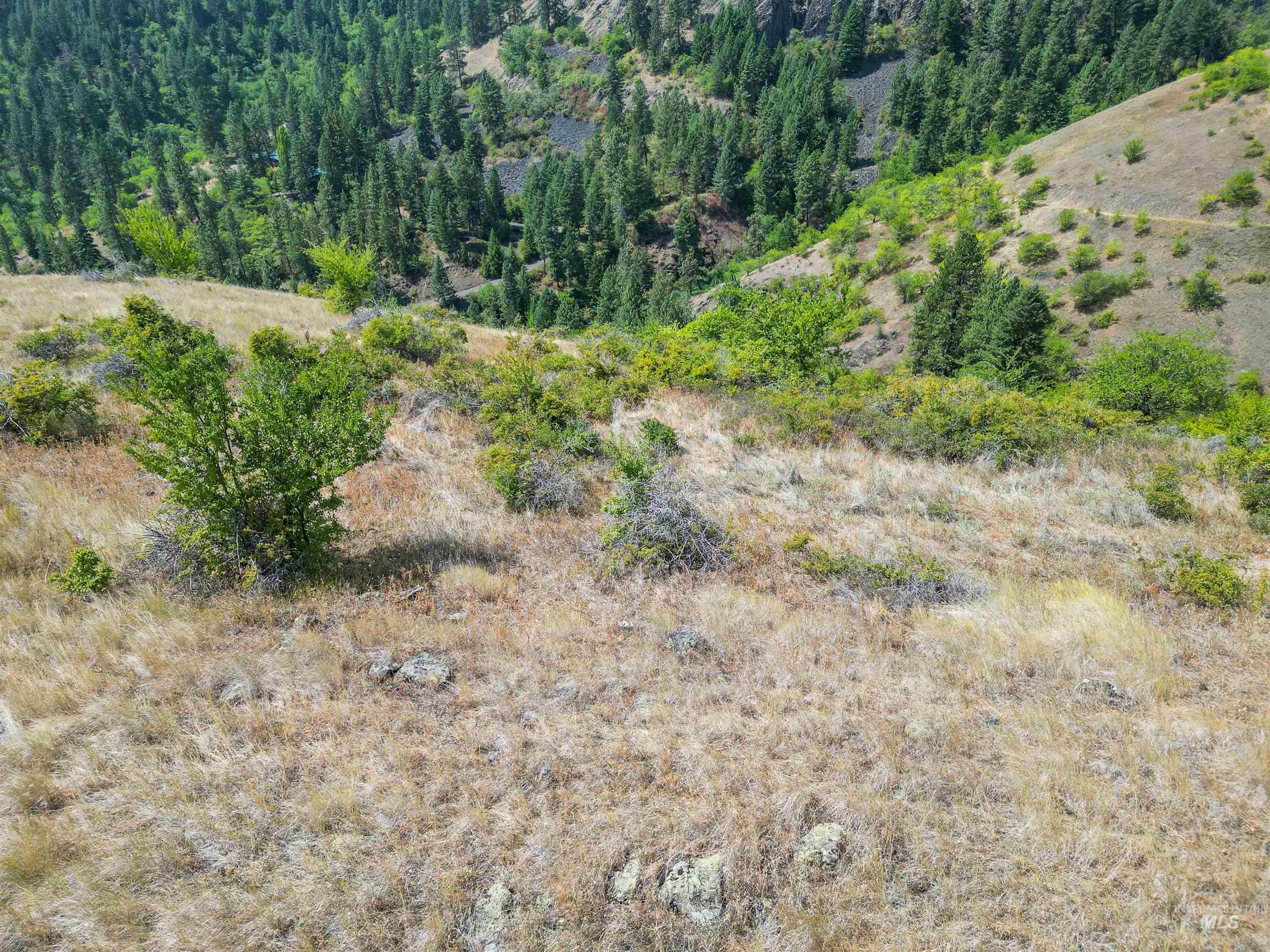 Tbd Blue Grouse Road Property Photo 13