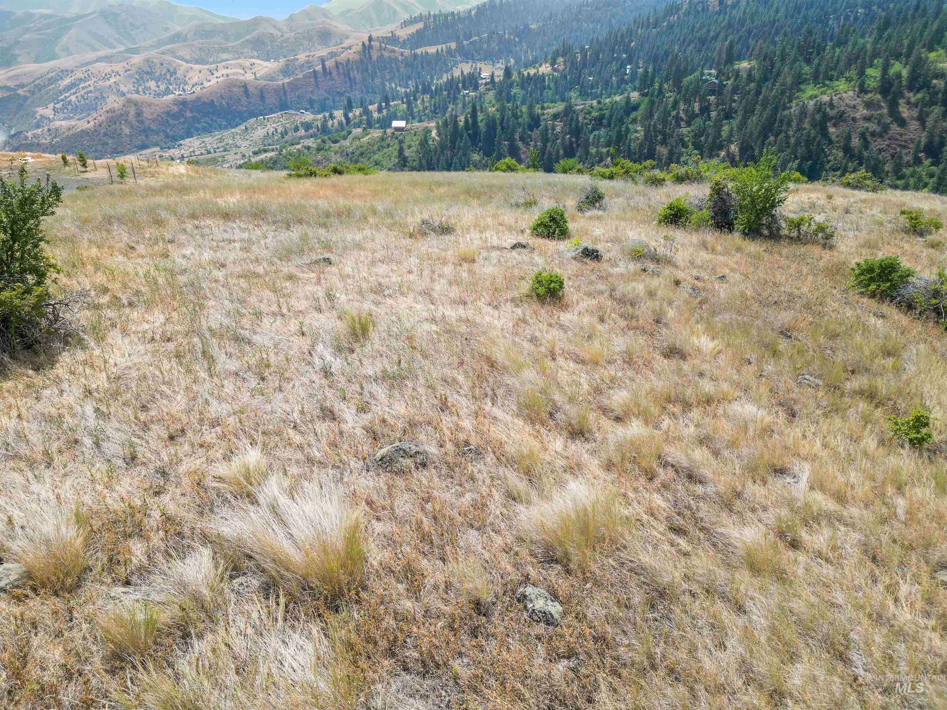Tbd Blue Grouse Road Property Photo 14