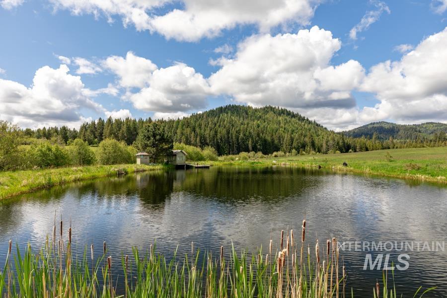 374484 Highway 95 Property Photo 43