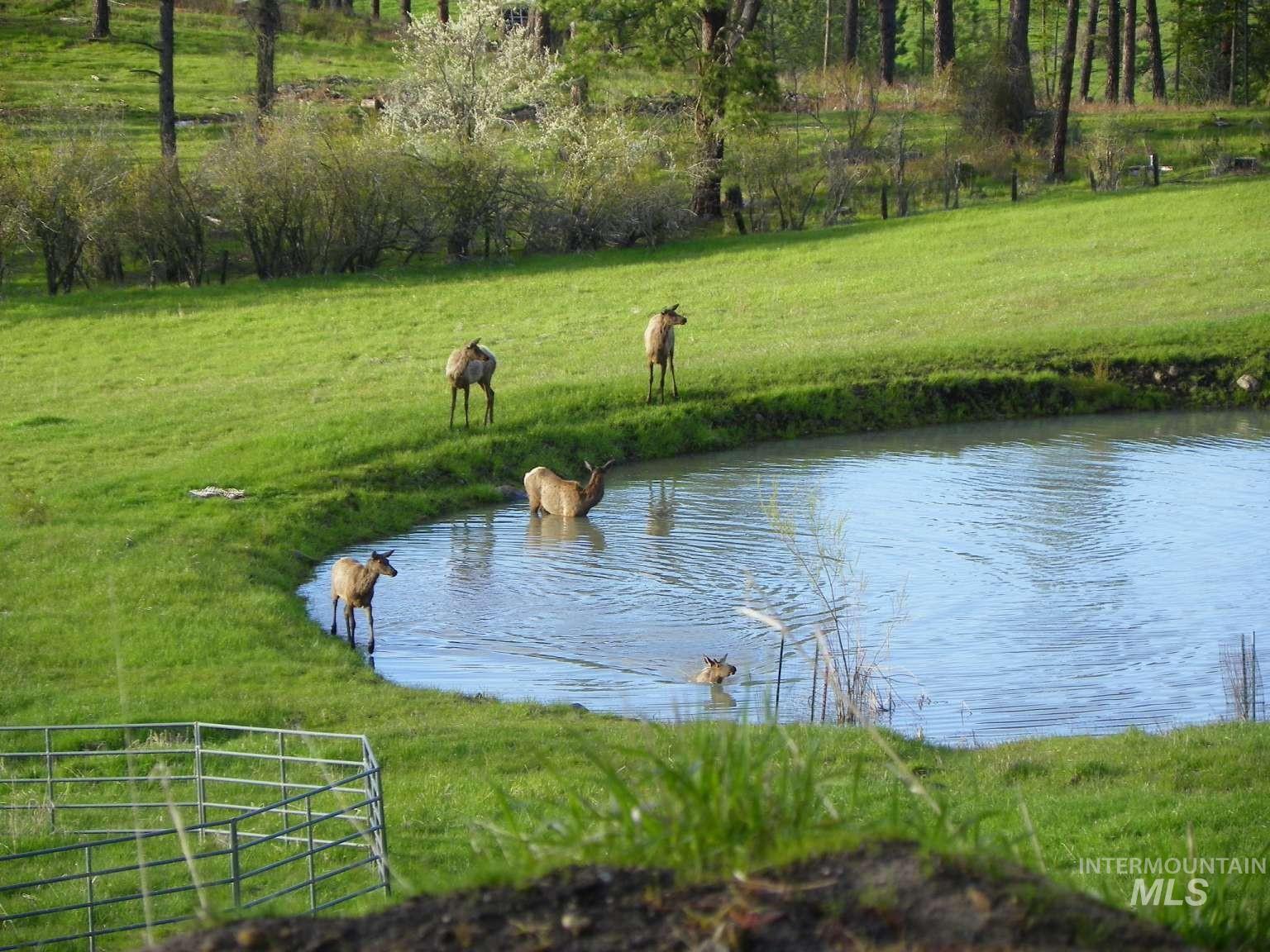 263 Sill Creek Property Photo 19
