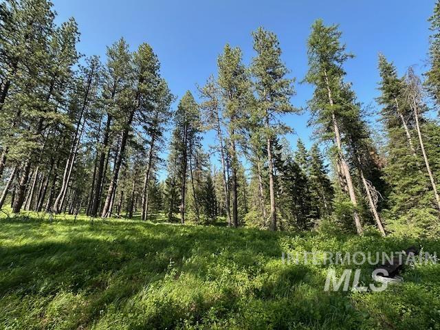 Property Photo 21
